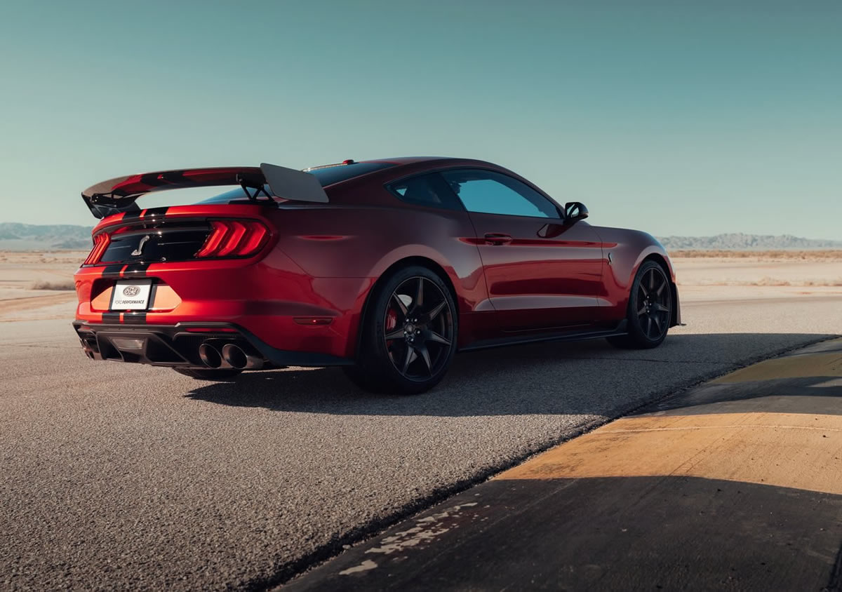 shelby stolen2