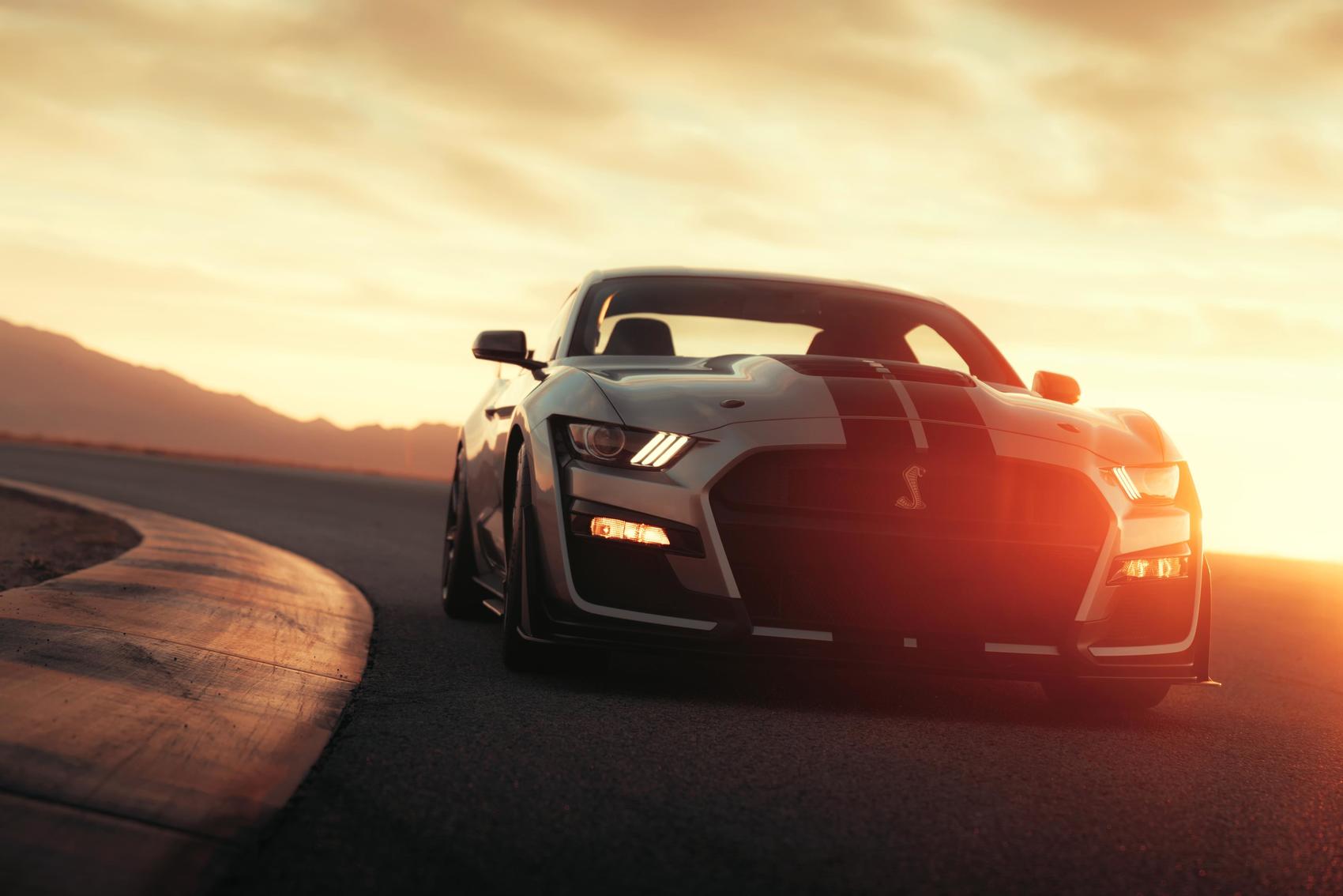shelby stolen1