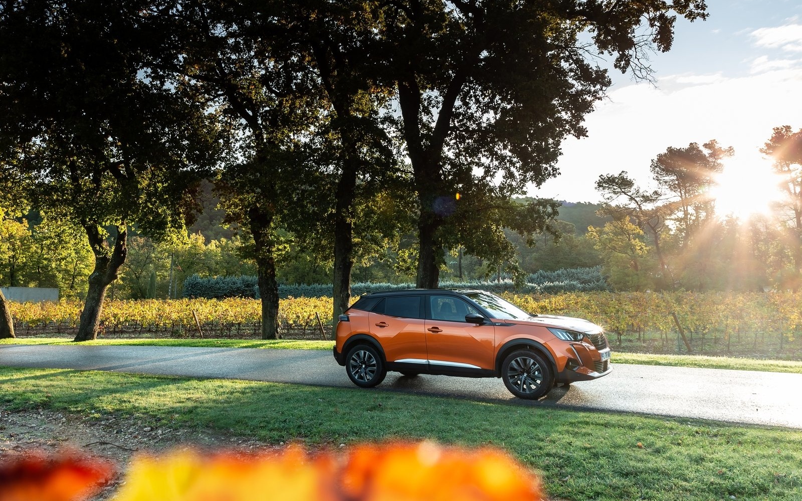 suv november