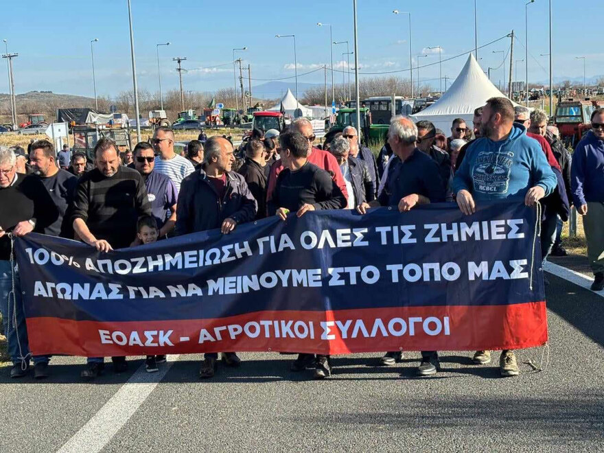 e-65-agrotes__2_