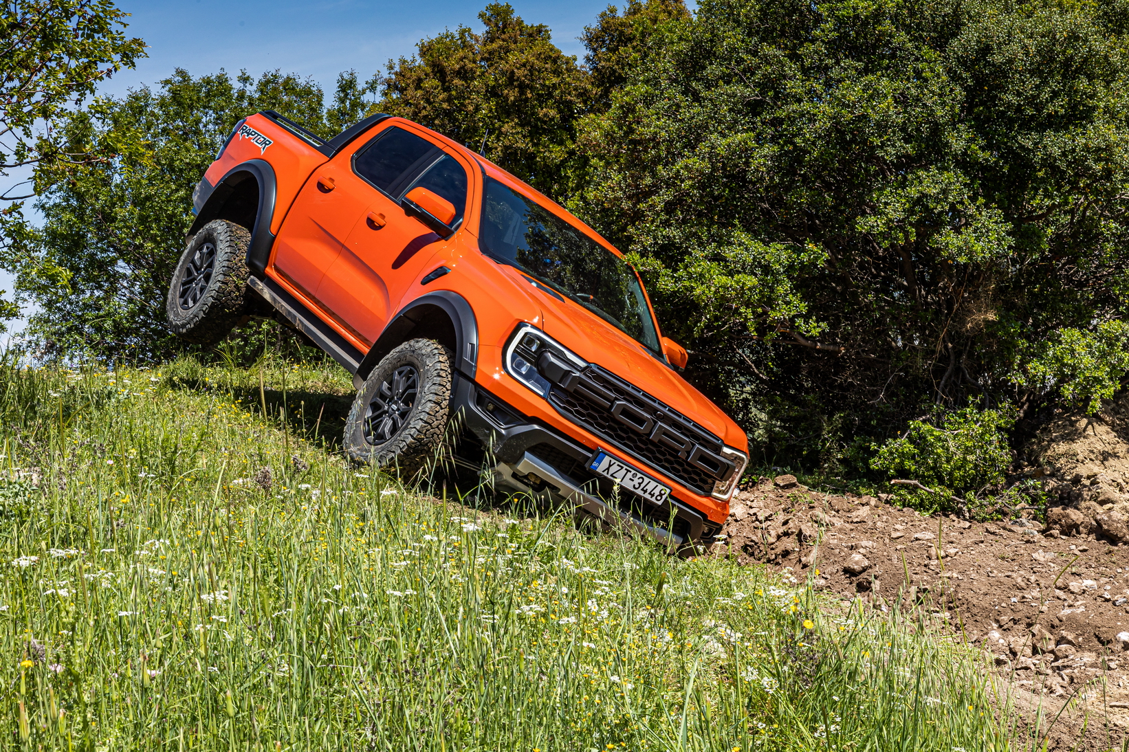 raptor