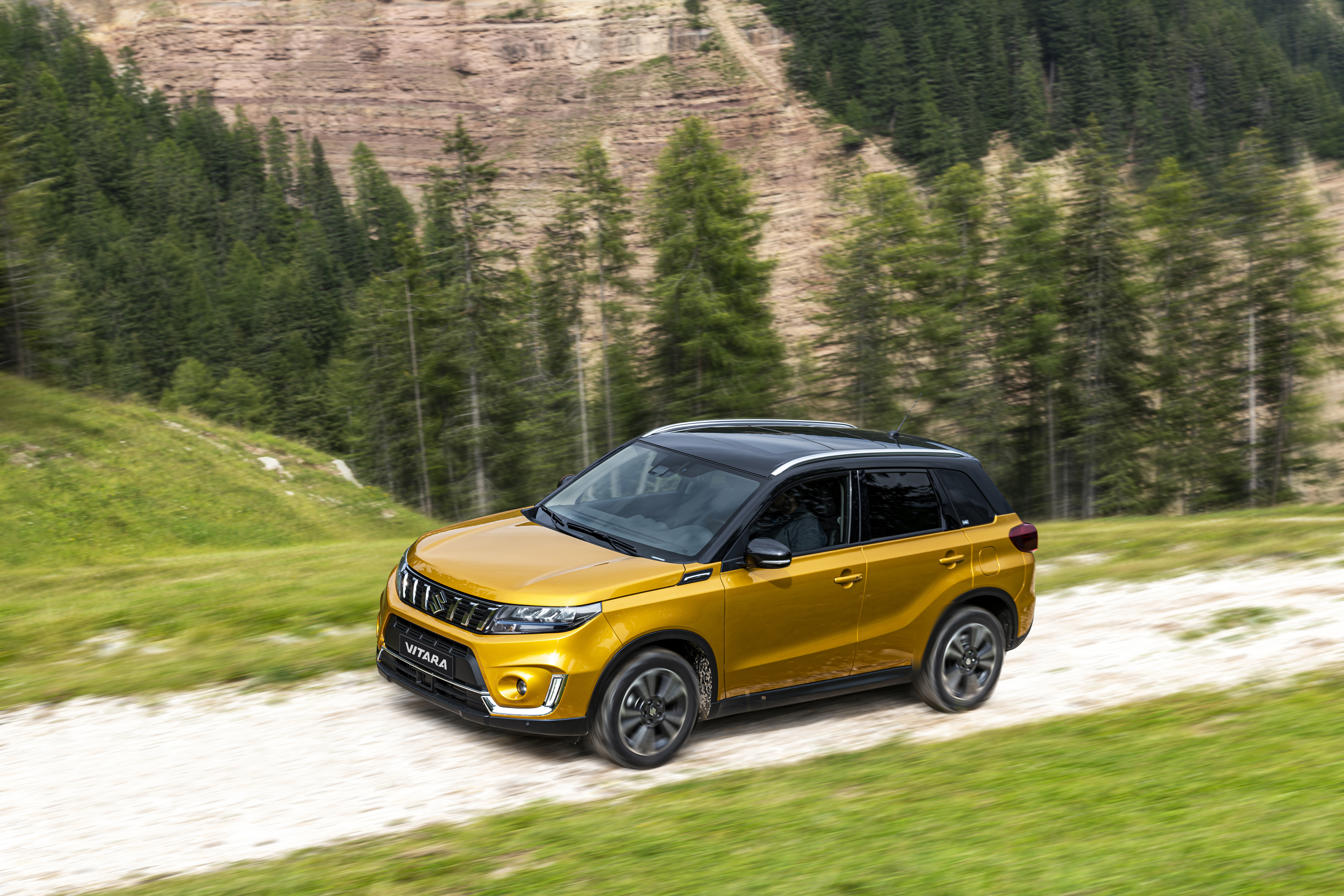 vitara