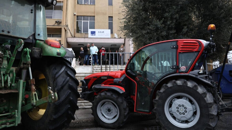 agrotes-larisa-6