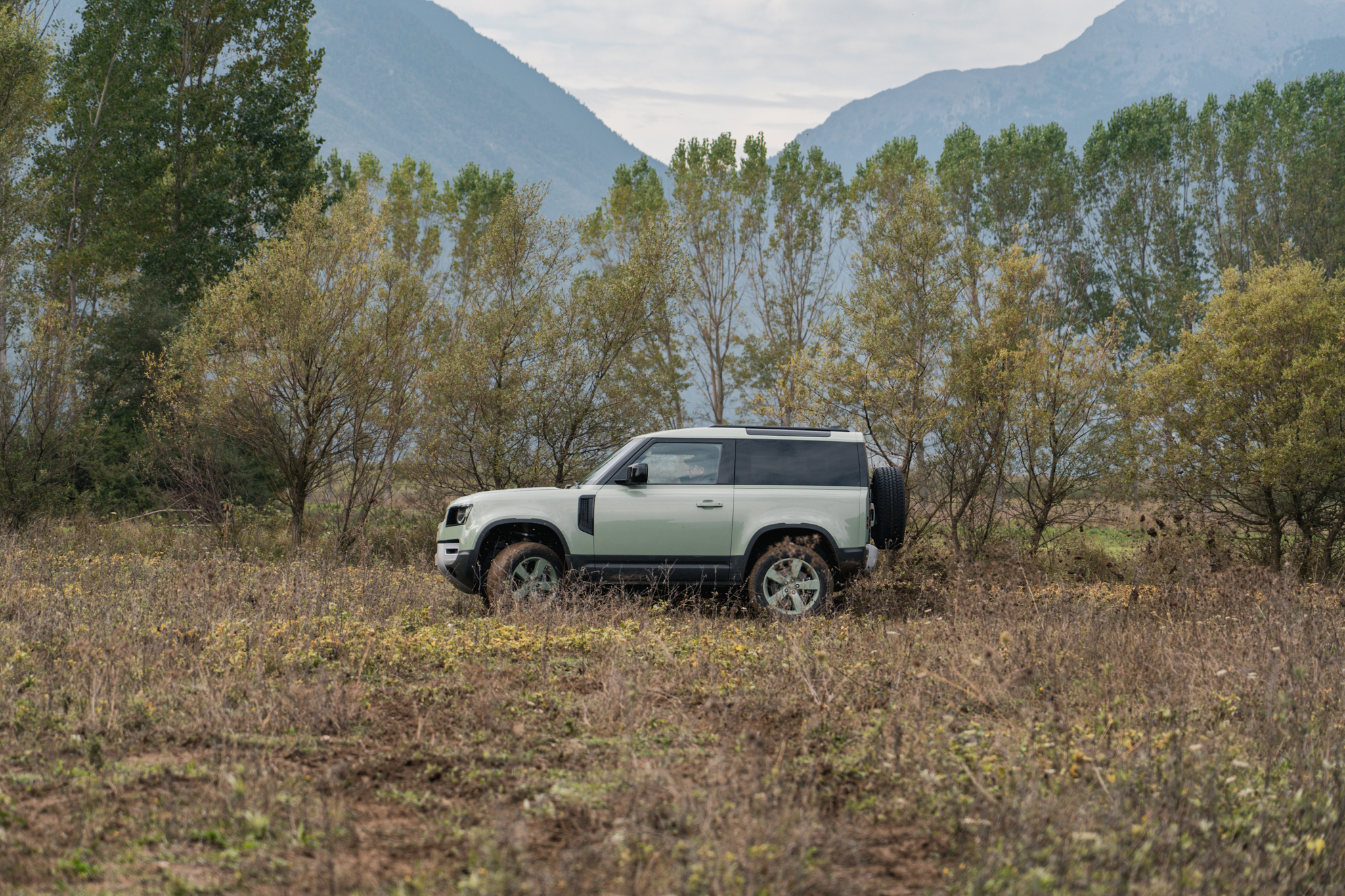 defender