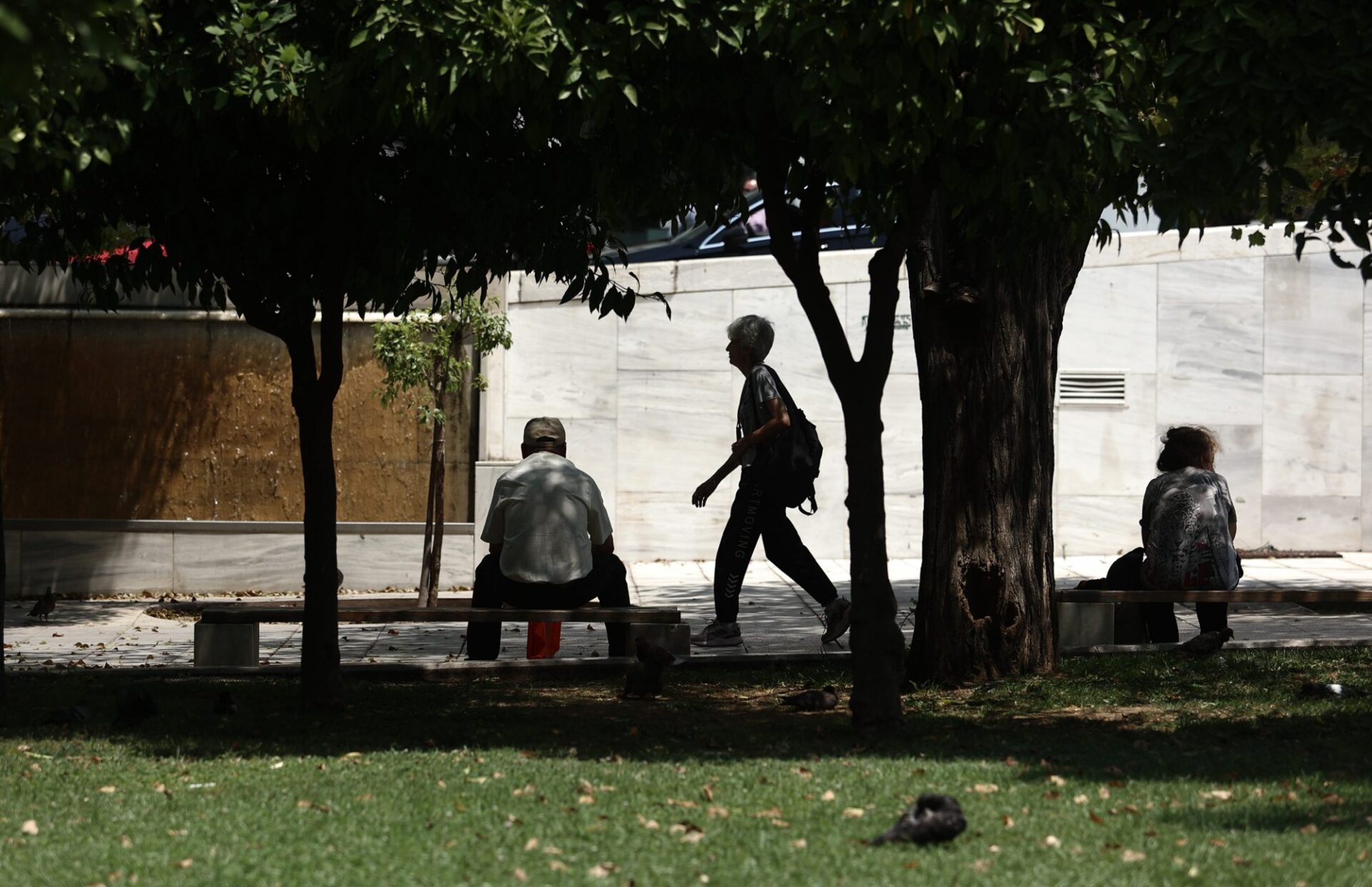 Καιρός: Ο πιο ζεστός χειμώνας των τελευταίων 25 ετών