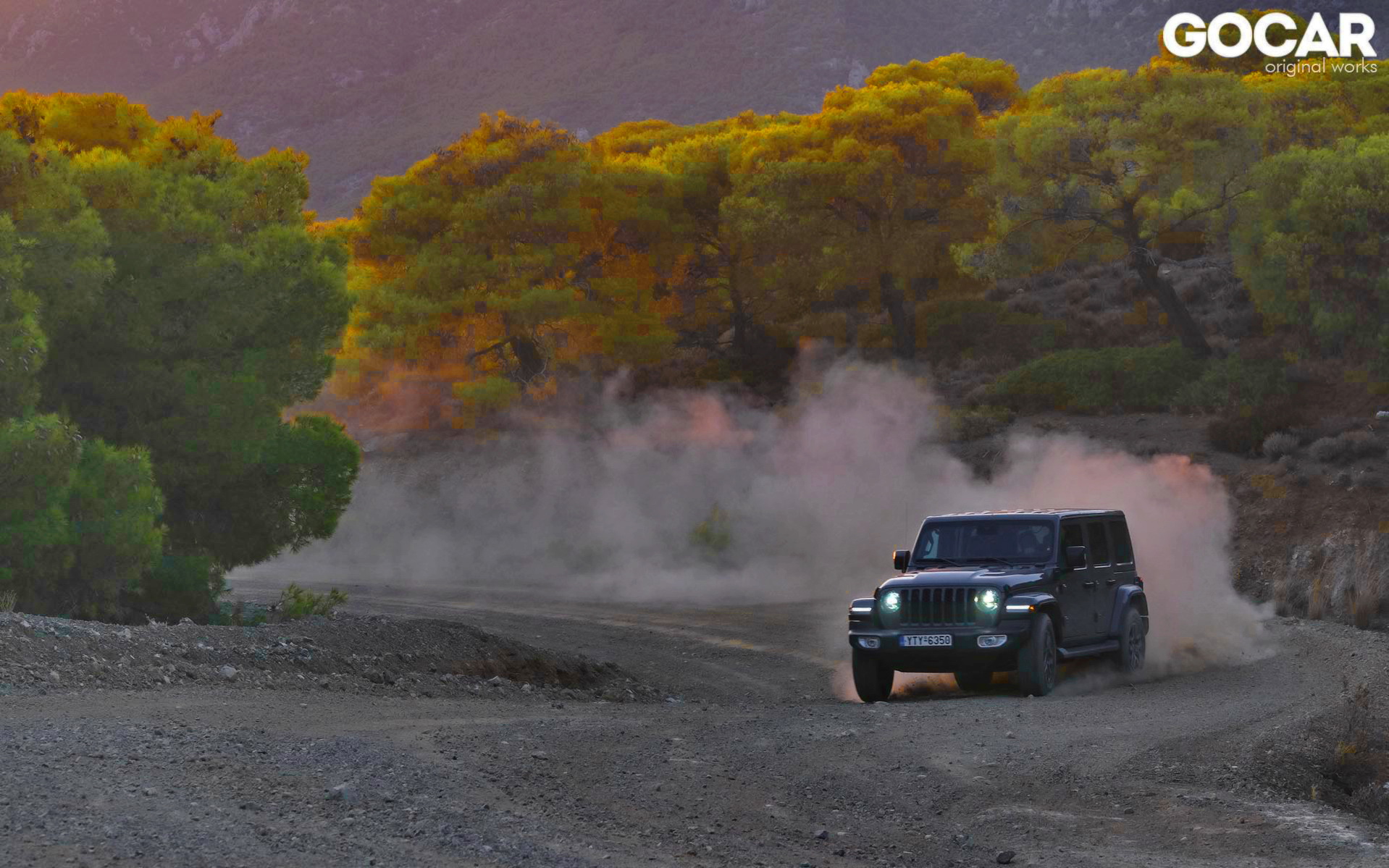 wrangler