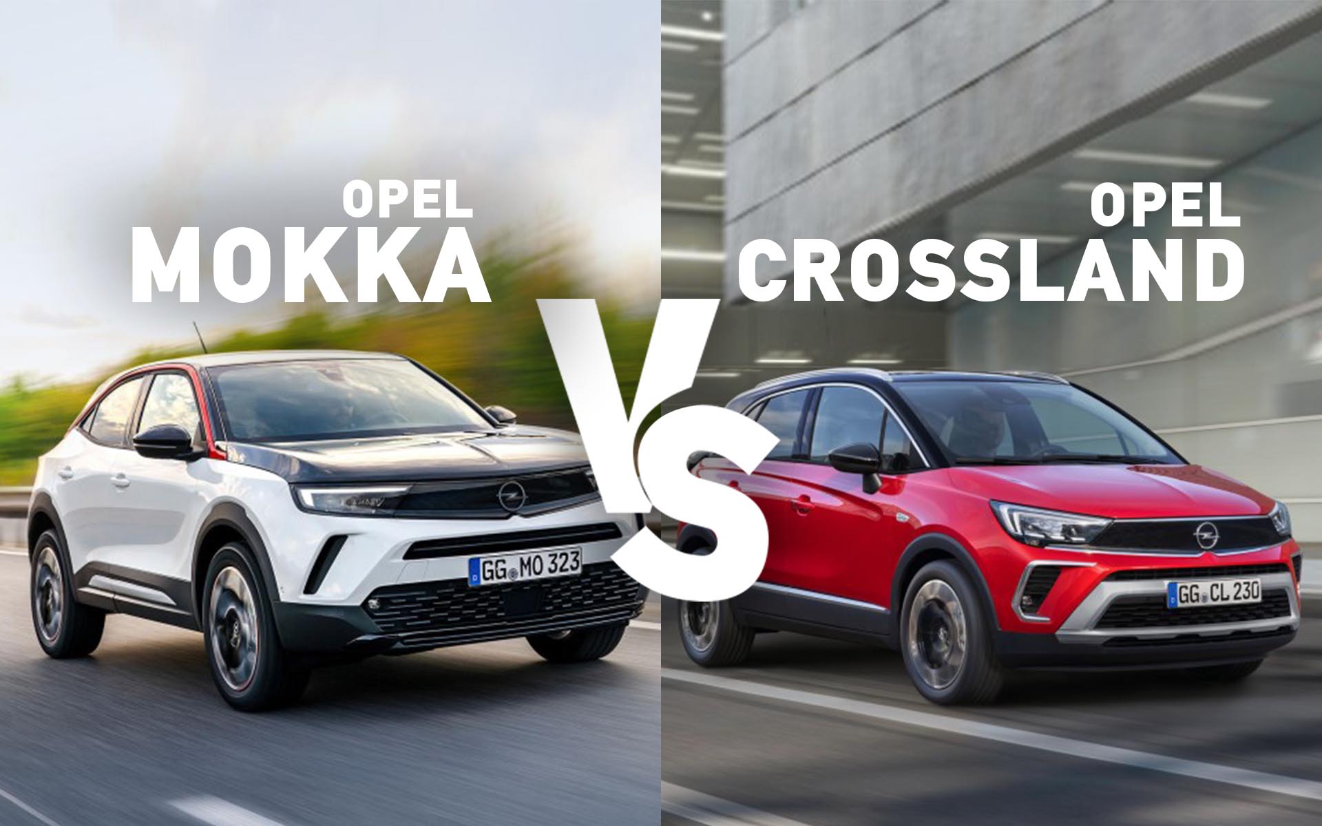 MOKKA VS CROSSLAND