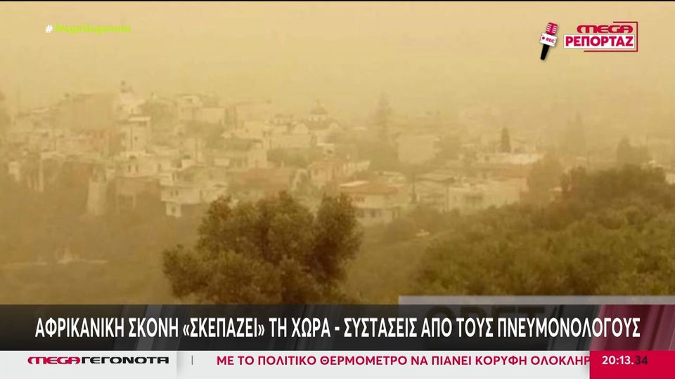 profile player-960x540