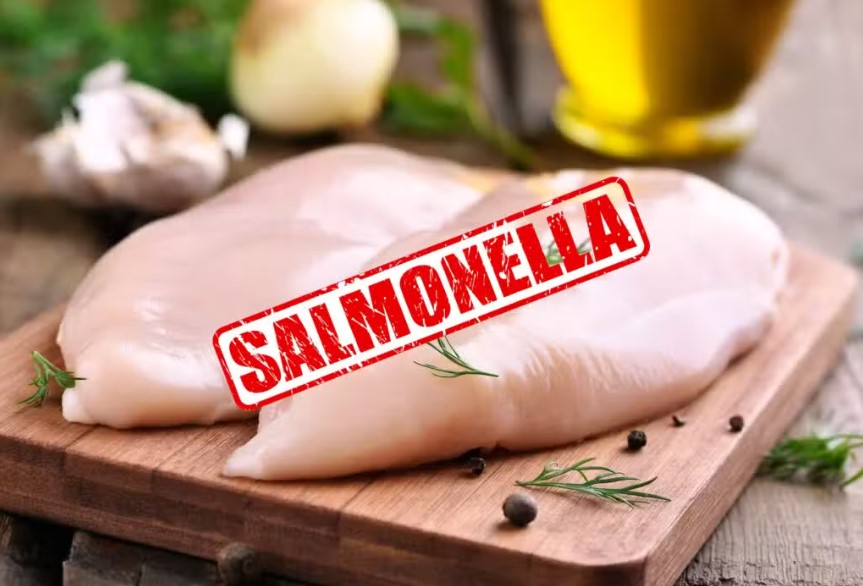 salmonela