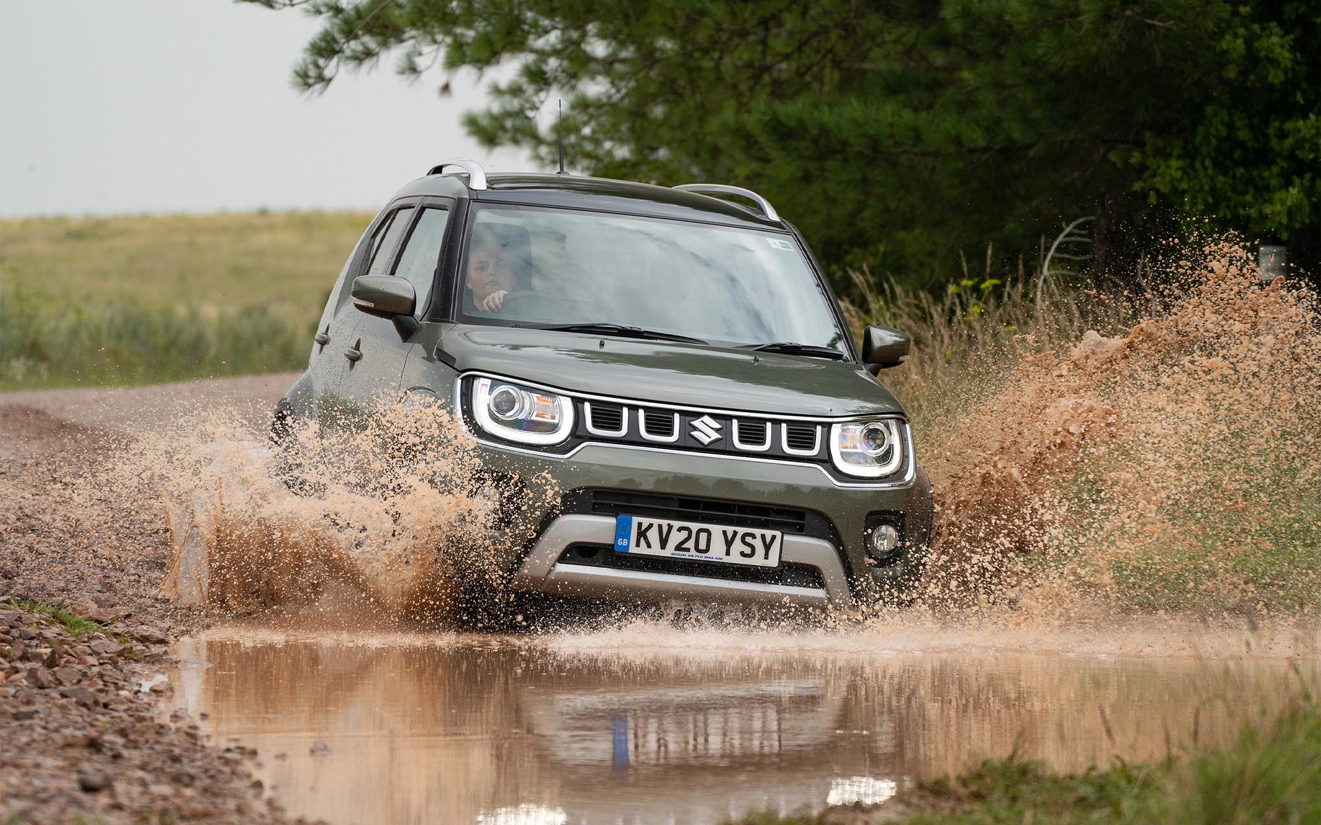 ignis