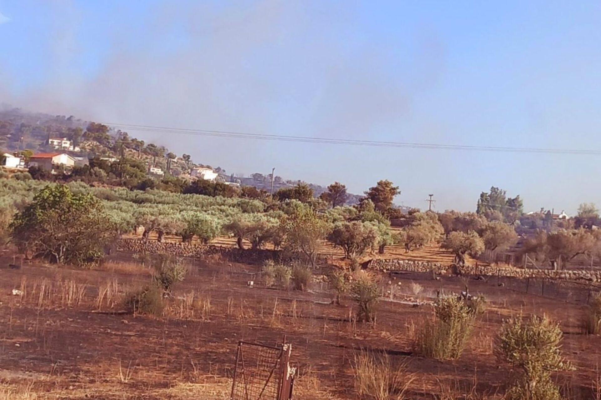 Φωτιά: Ολονύχτια μάχη με τις φλόγες στην Πελοπόννησο – Στην Ηλεία το βασικό μέτωπο