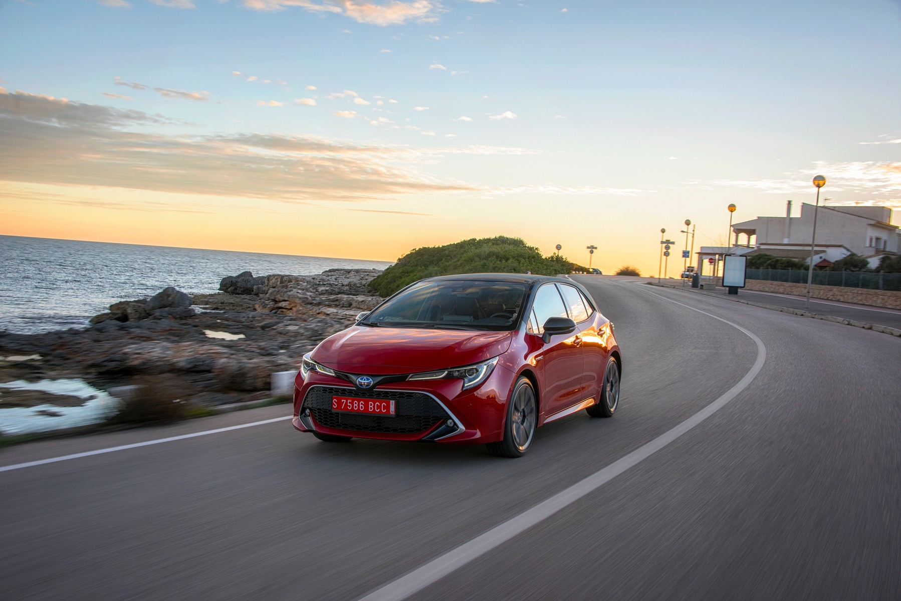 corolla