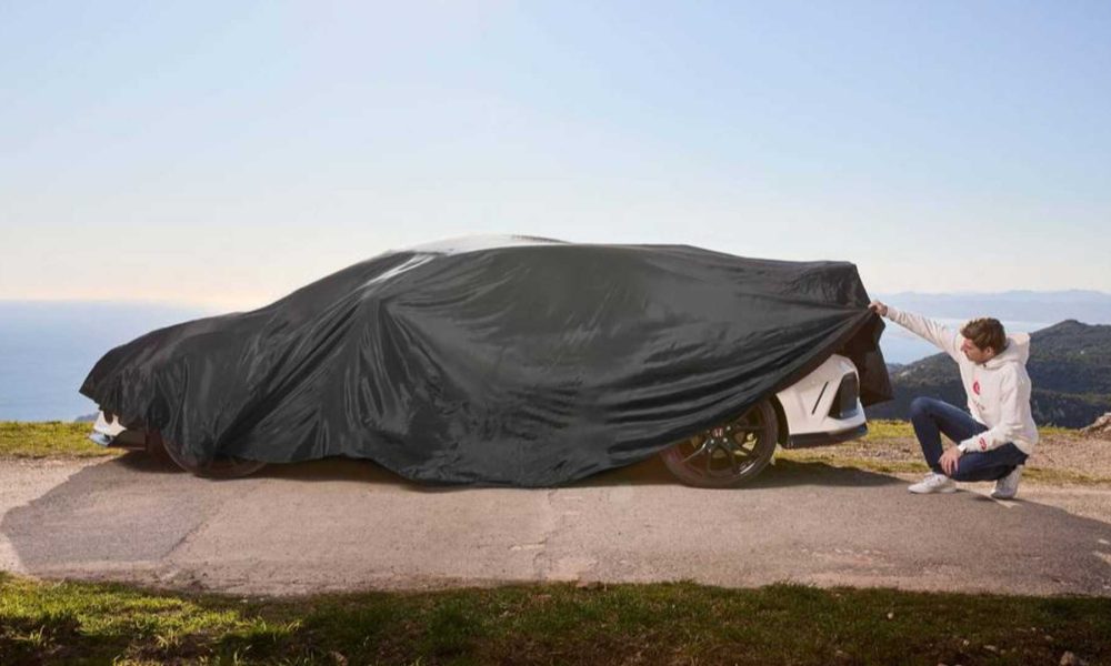 verstappen type r 2