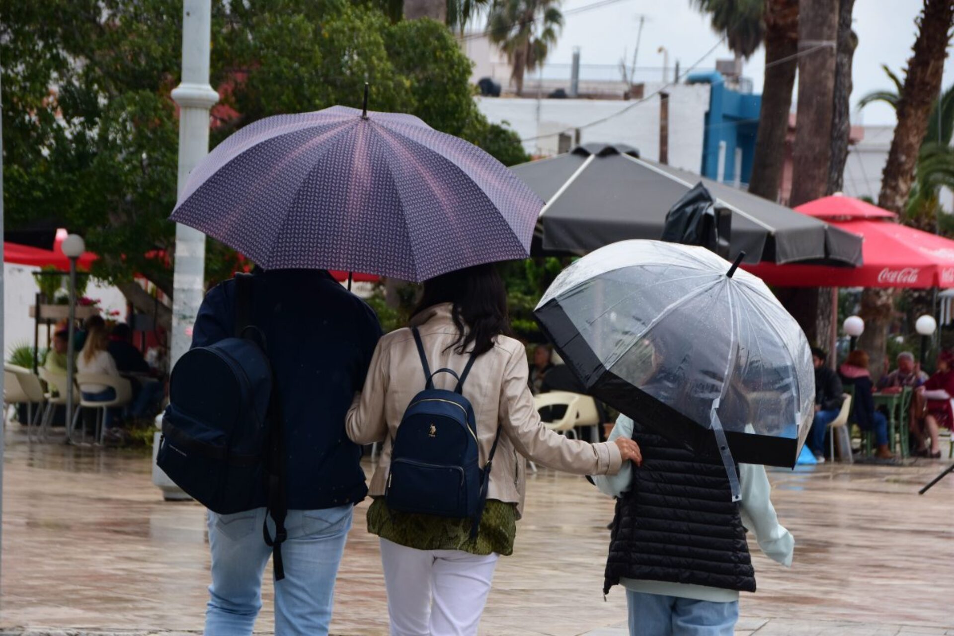 Καιρός: Βροχές, άνεμοι και πτώση θερμοκρασίας – Πόσο θα κατέβει το θερμόμετρο