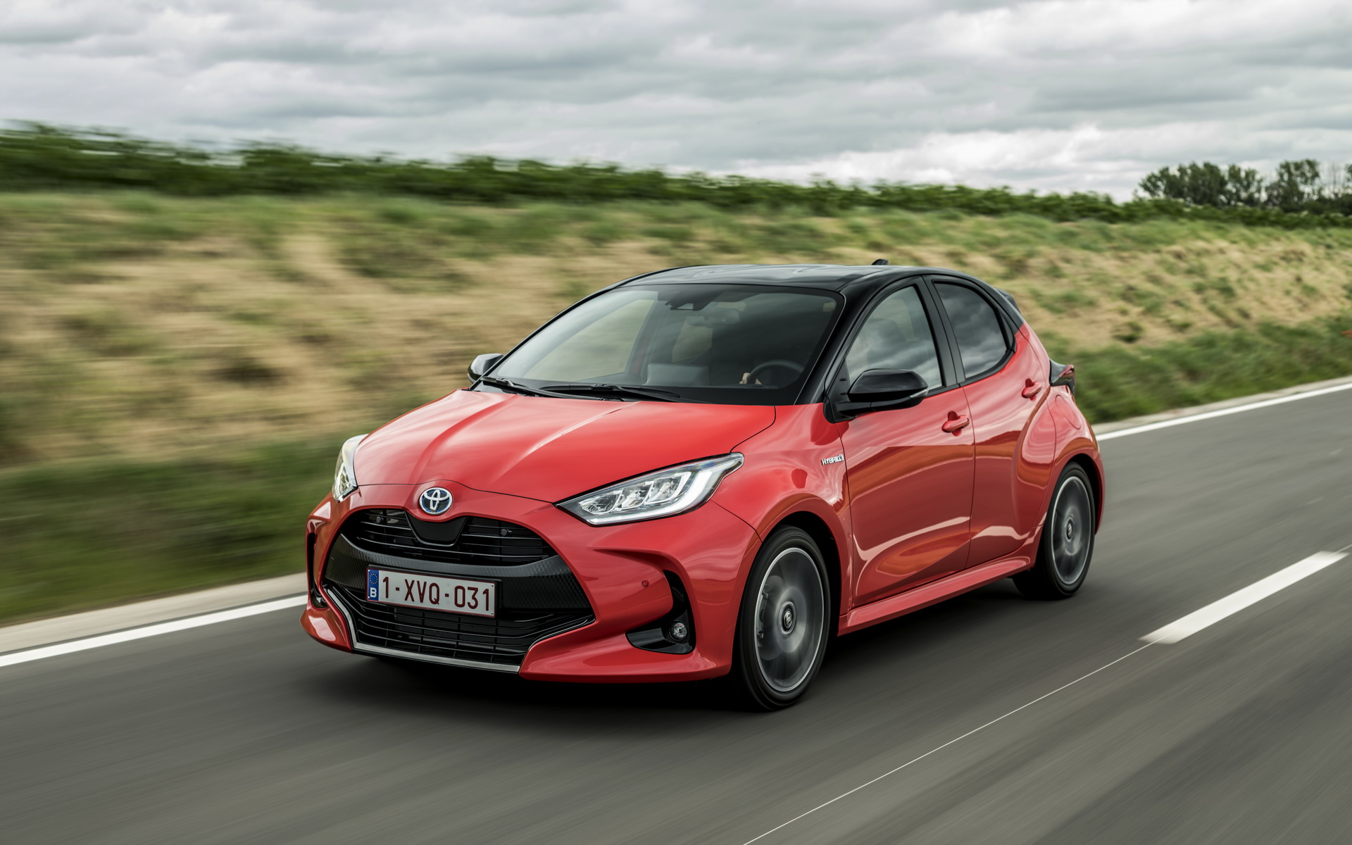 yaris