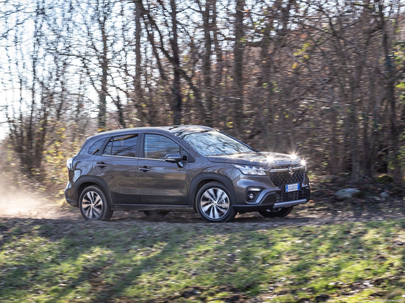 s-cross