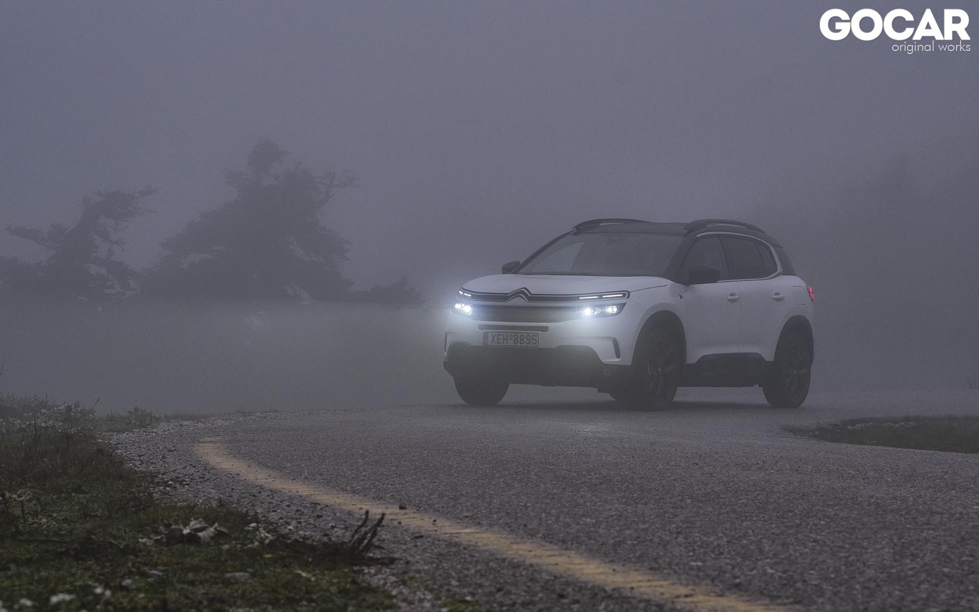 phev