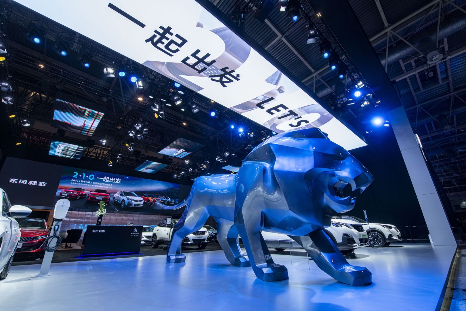 lion