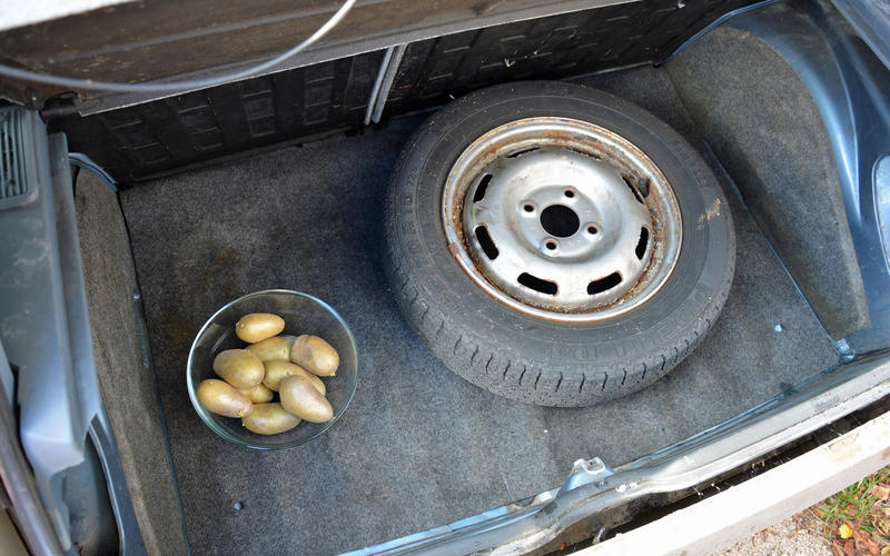 top10-strange-laws-potato-limit