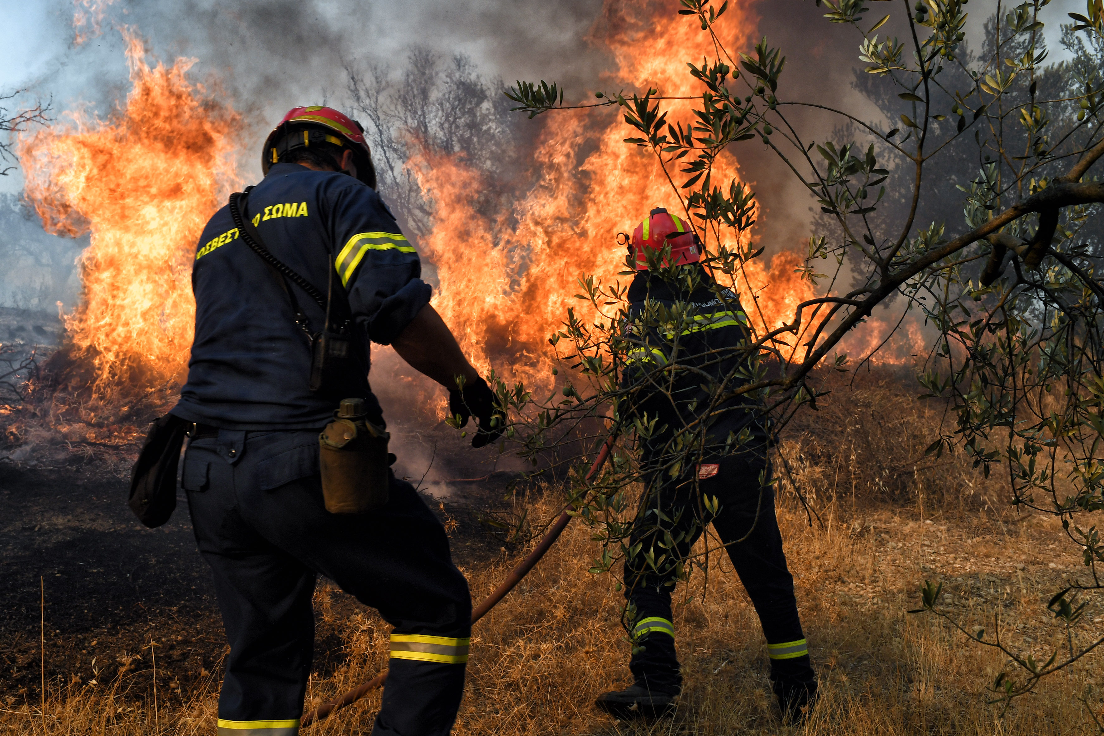 https://ellada.press/wp-content/uploads/2025/01/Φωτιά-στα-Γλυκά-Νερά-Οι-δρόμοι-που-έχει-κλείσει.jpg