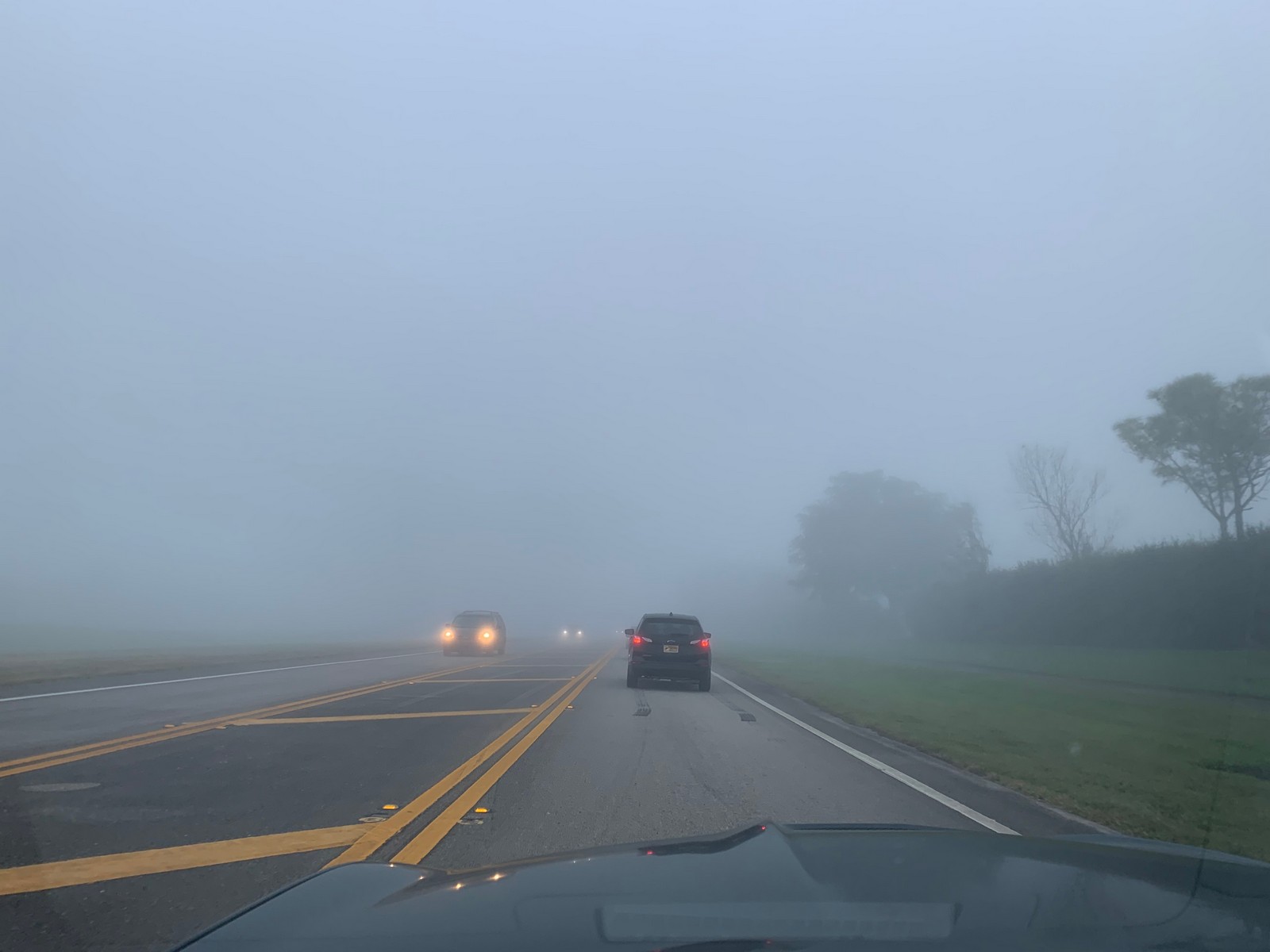 fog lights