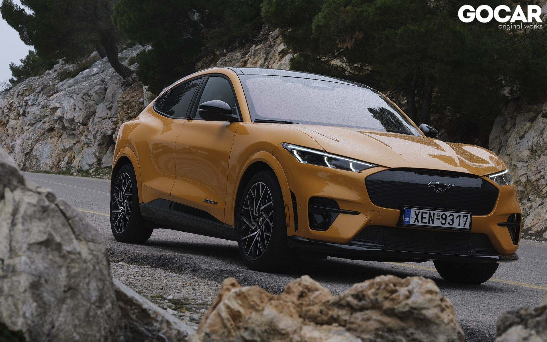 https://ellada.press/wp-content/uploads/2025/02/H-ηλεκτρική-Ford-Mustang-Mach-E-με-8000-E-επιδότηση-Πώς.jpg