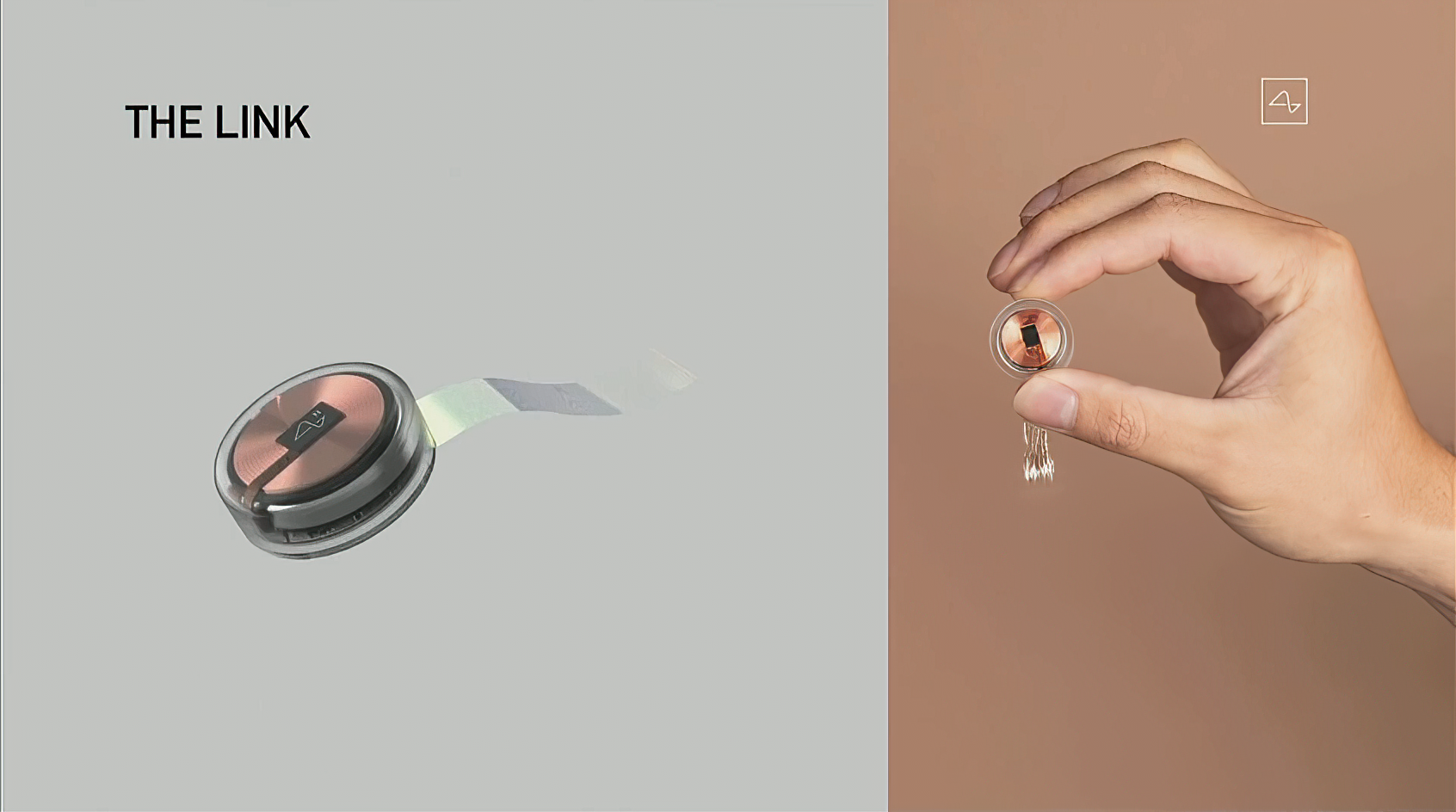 neuralink-the-link