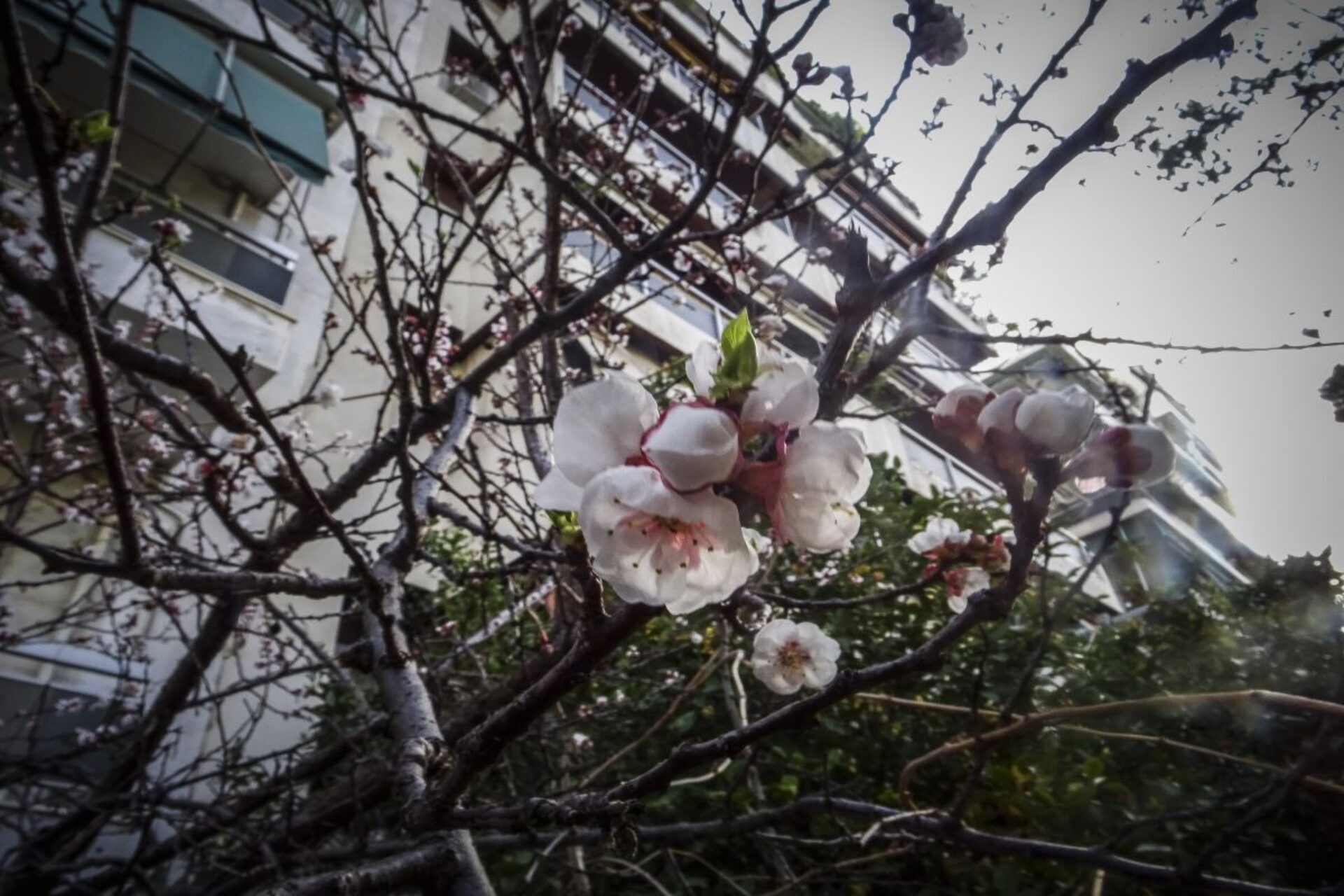 Καιρός: Ανατροπή στη θερμοκρασία – Η πρόβλεψη Τσατραφύλλια