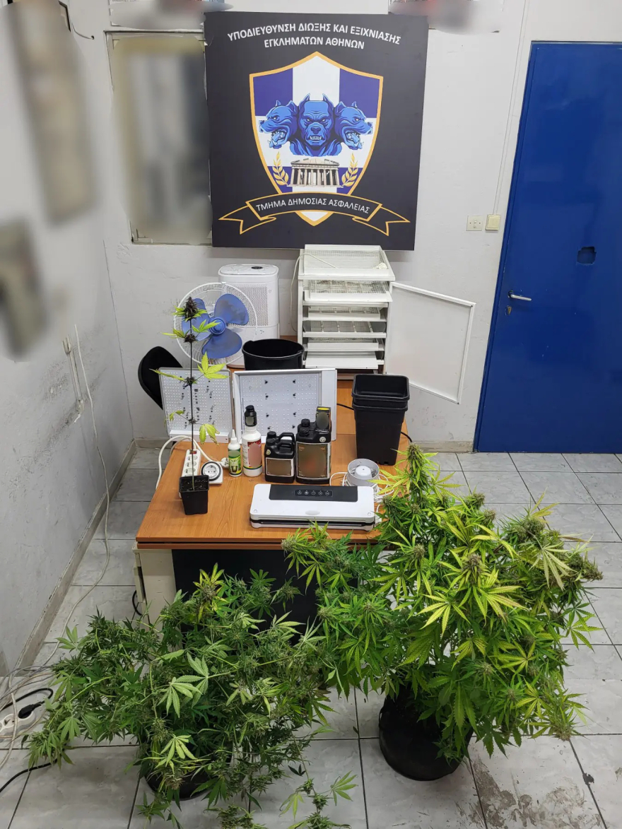 Εντοπίστηκε πλήρως εξοπλισμένο εργαστήριο καλλιέργειας κάνναβης σε σπίτι στο Παλαιό Φάληρο, δύο συλλήψεις – Δείτε φωτογραφίες 