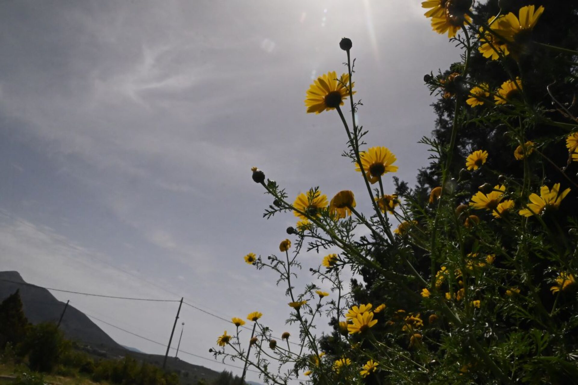Καιρός: Εκρηκτικό μείγμα με αφρικανική σκόνη και ζέστη – Οι πιο θερμές μέρες