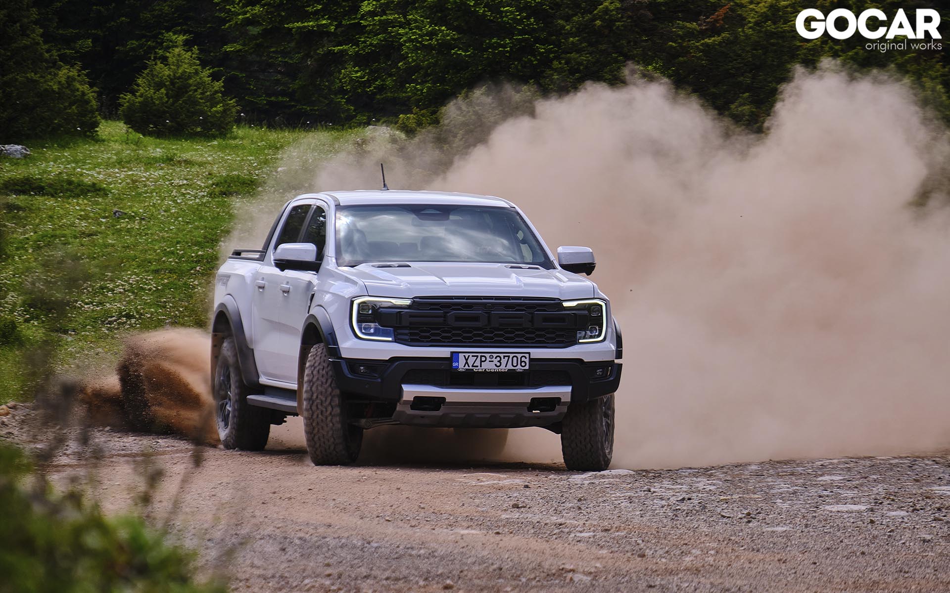 raptor