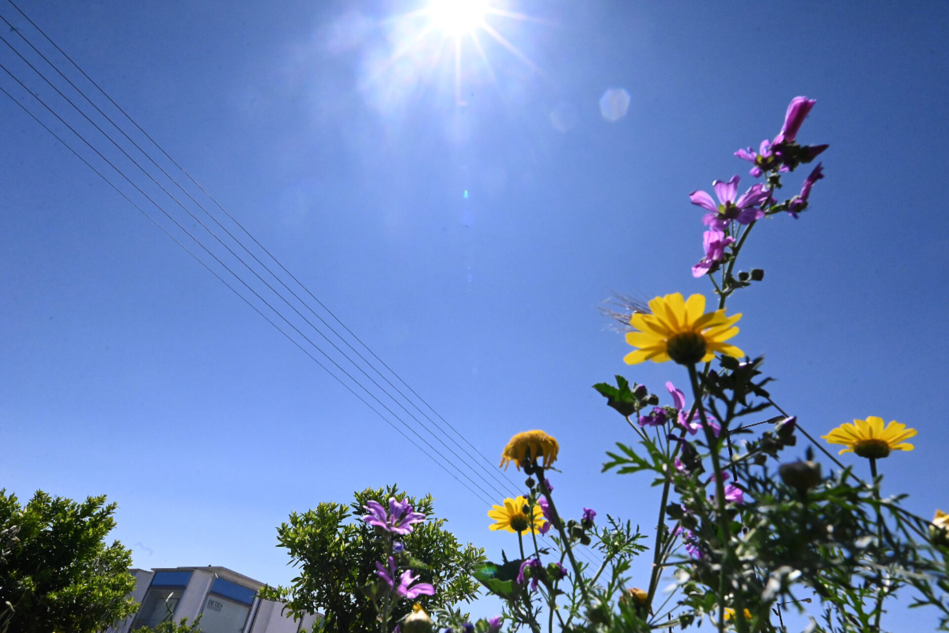 Καιρός: Πού έδειξε σήμερα πάνω από 30°C