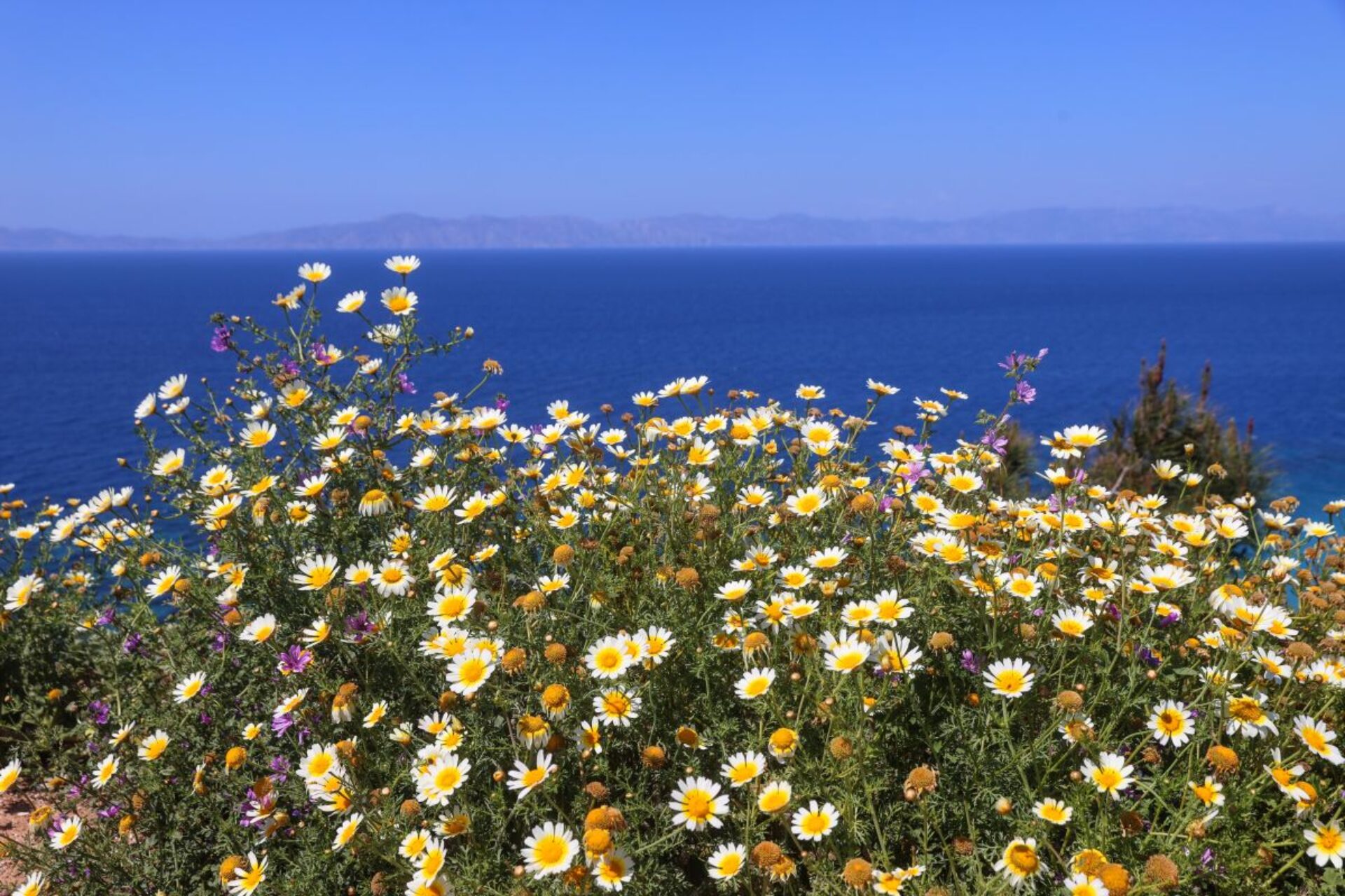 Καιρός: Γέμισαν οι παραλίες – 30°C αύριο στην Αθήνα