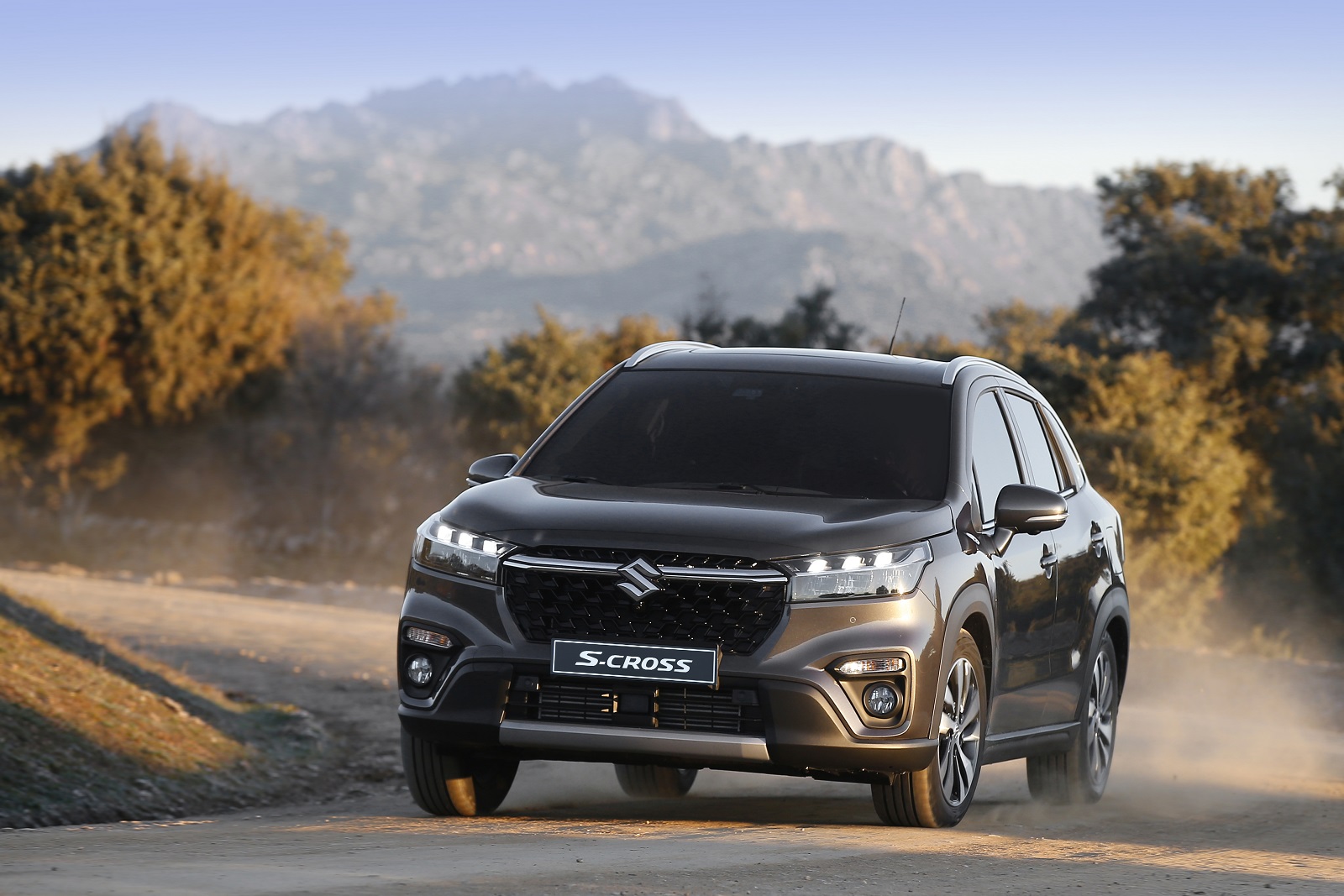 s-cross