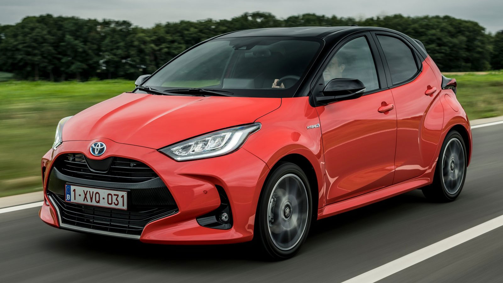 yaris