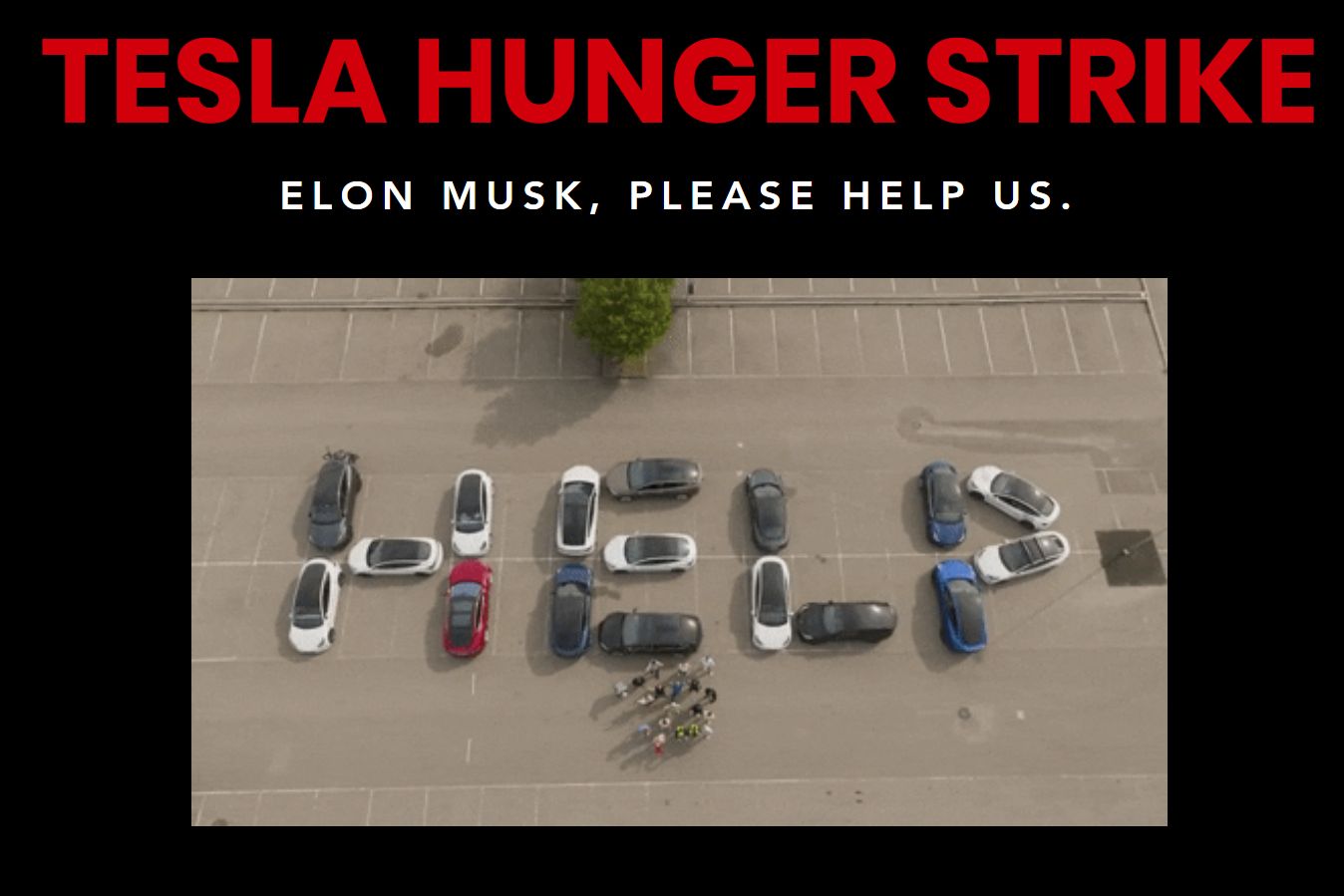 Tesla Hunger Strike
