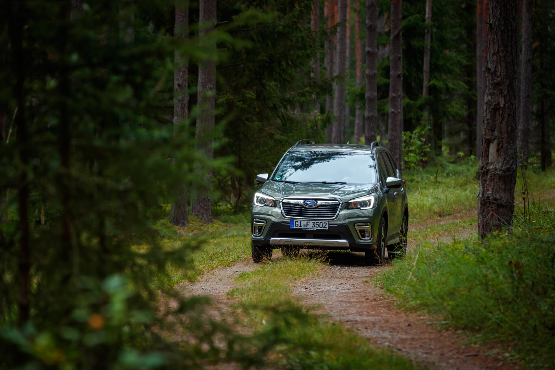 forester