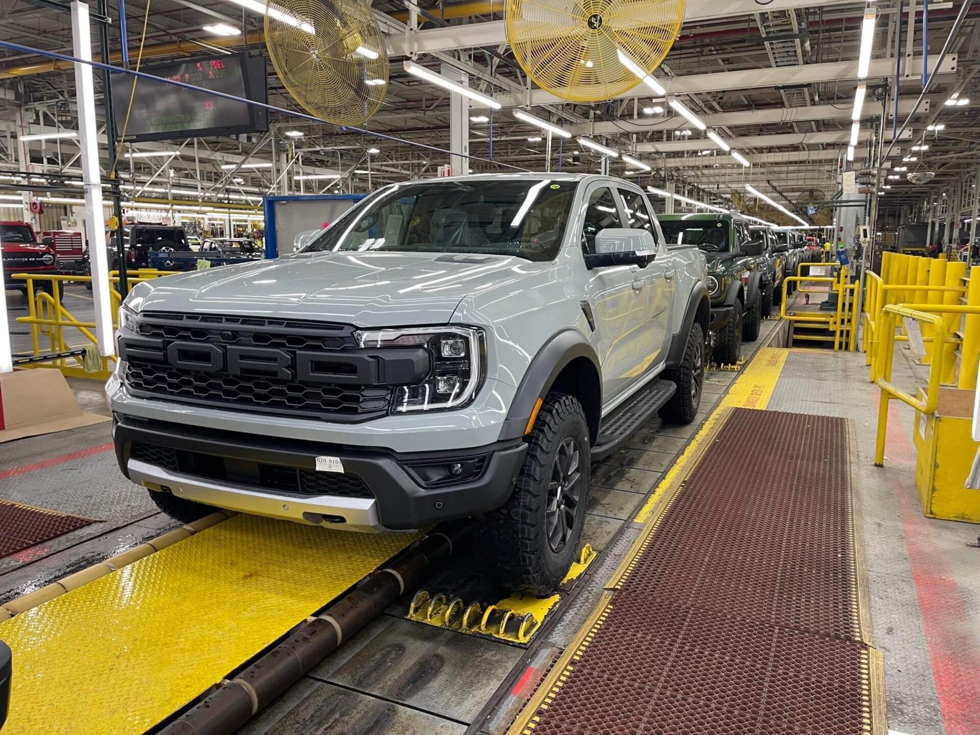raptor