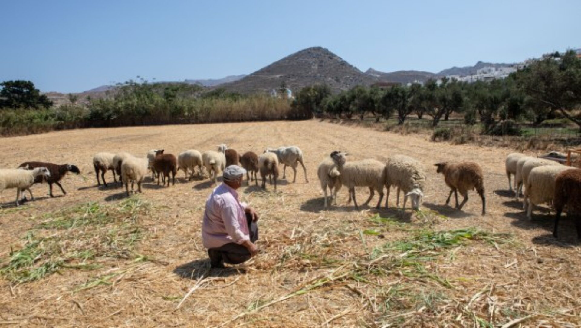 1761551537_Αγρότες-Γερνάει-η-γεωργία-στην-Ευρώπη.jpg
