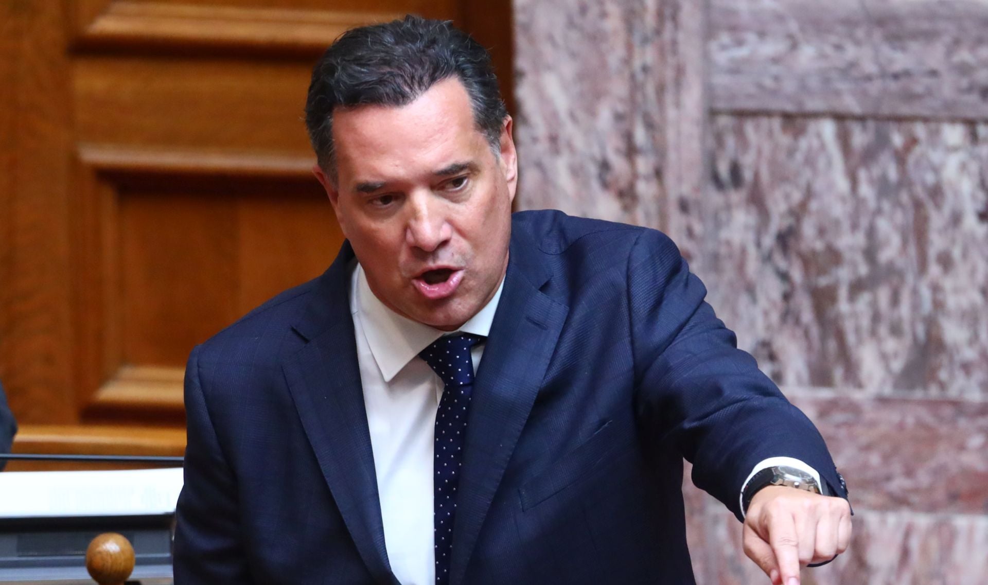 Γεωργιάδης: Ο απίστευτος ισχυρισμός για τον «Χασάπη» – Αντιπαράθεση με Βελόπουλο