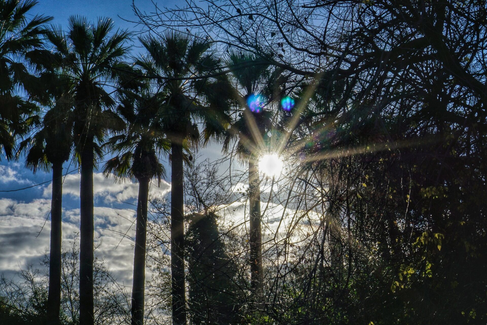 Καιρός: Θερμή εισβολή πριν το πρώτο «χτύπημα» του χειμώνα – Πότε αλλάζει το σκηνικό