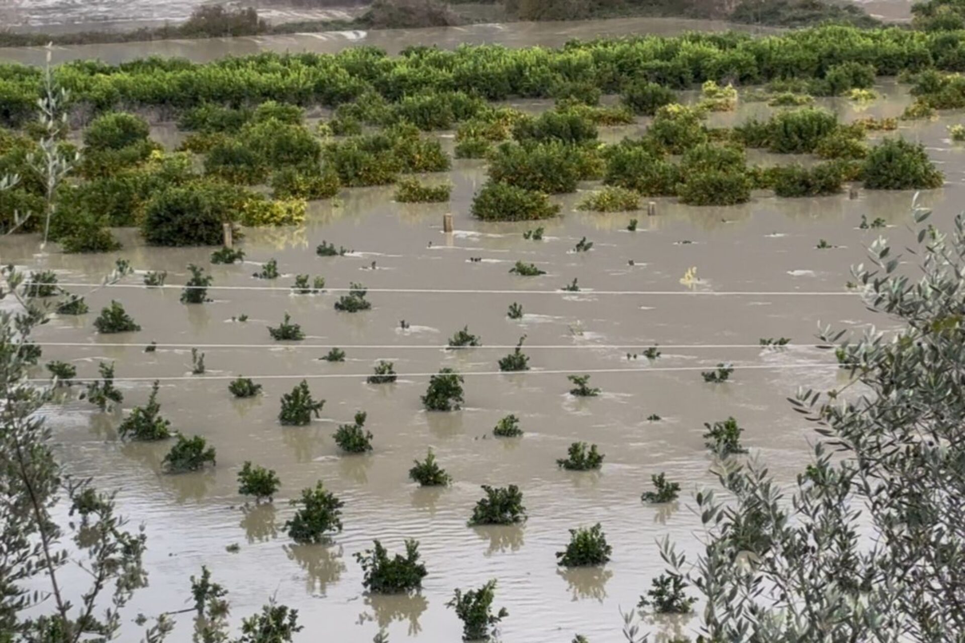 Καιρός: Πότε κορυφώνεται η κακοκαιρία Adel – Οι περιοχές με κόκκινη προειδοποίηση