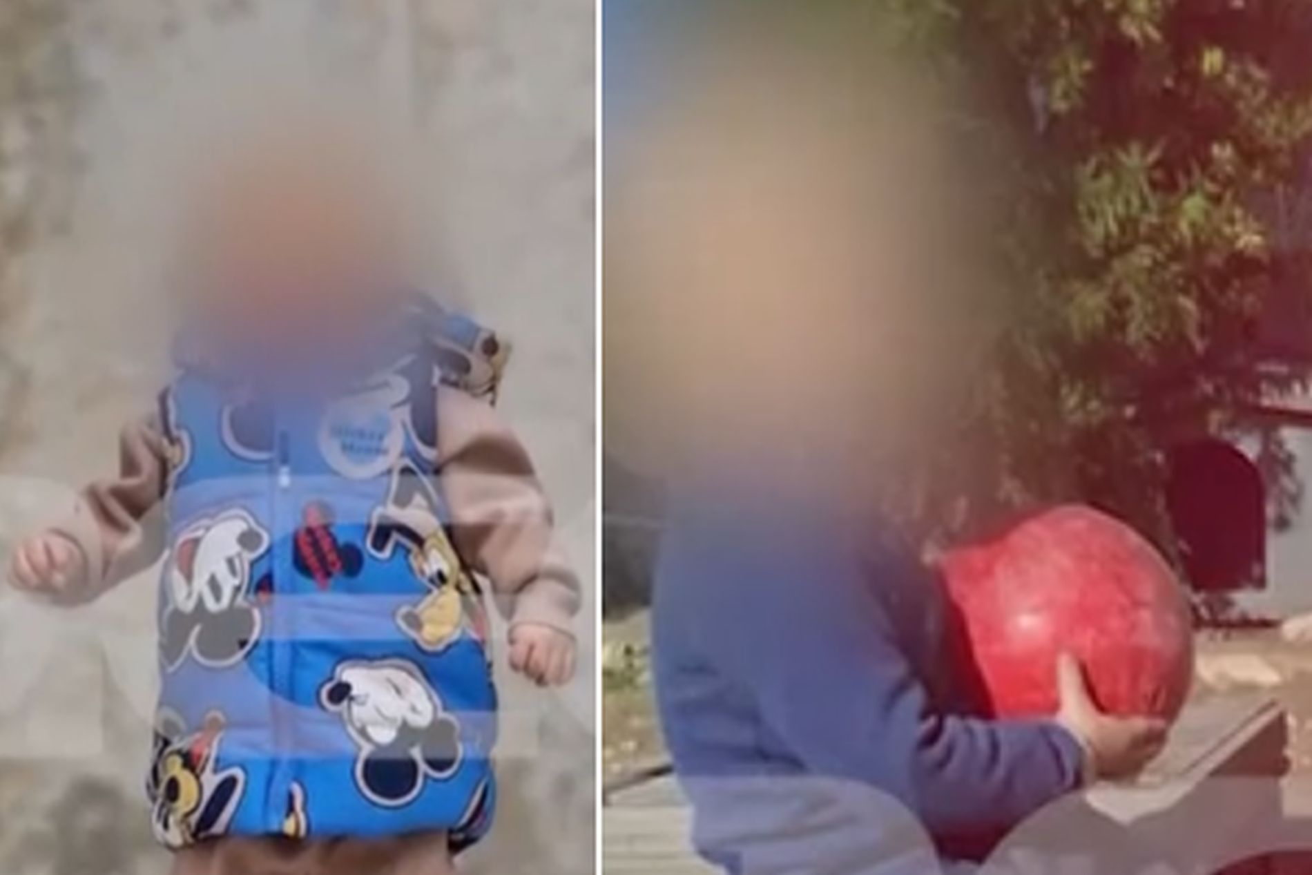 Ζάκυνθος: Έτσι κατασπάραξε το πίτμπουλ το δίχρονο αγοράκι – Τι γίνεται με τους γονείς;