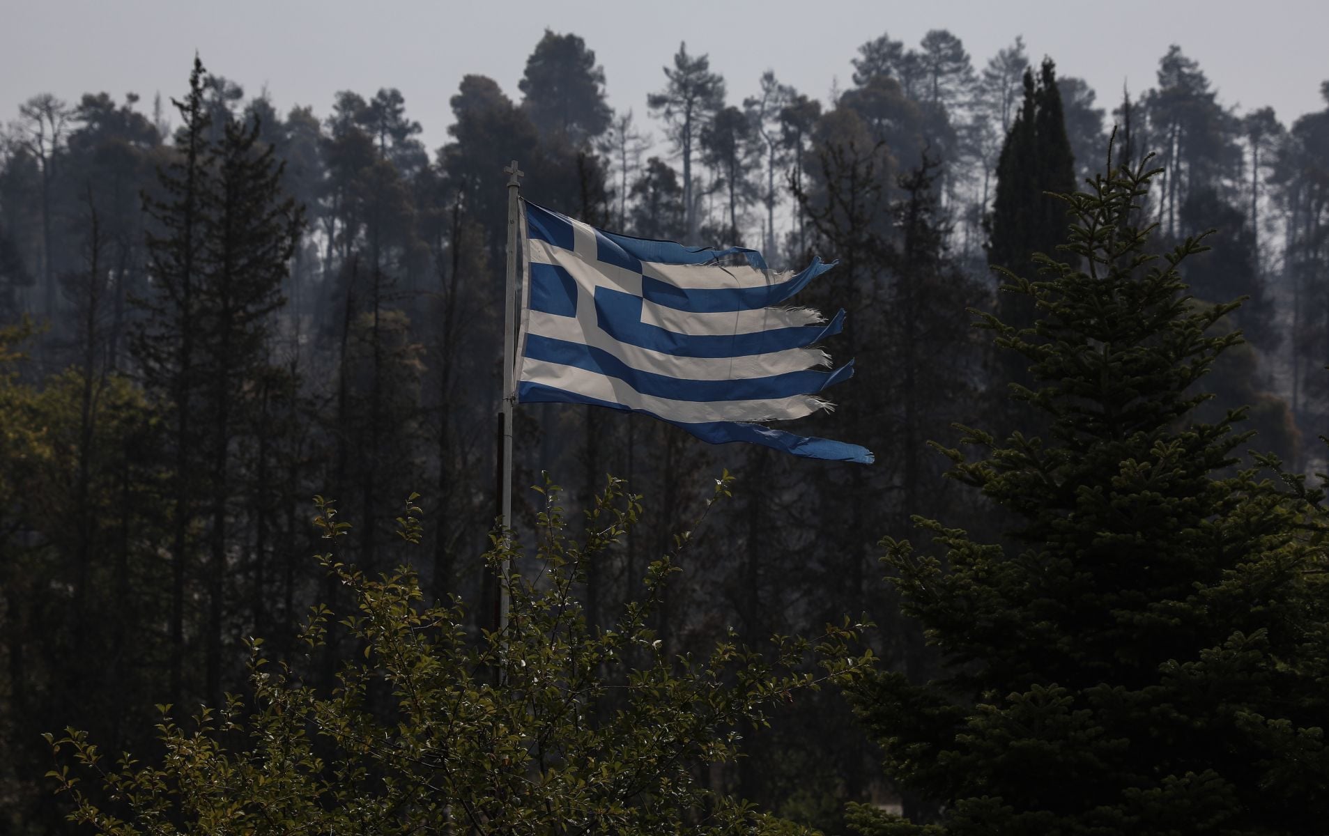 Η Εύβοια έπαθε… ΟΠΕΚΕΠΕ: Η Ευρωπαϊκή Εισαγγελία ψάχνει 6,5 εκατομμύρια ευρώ