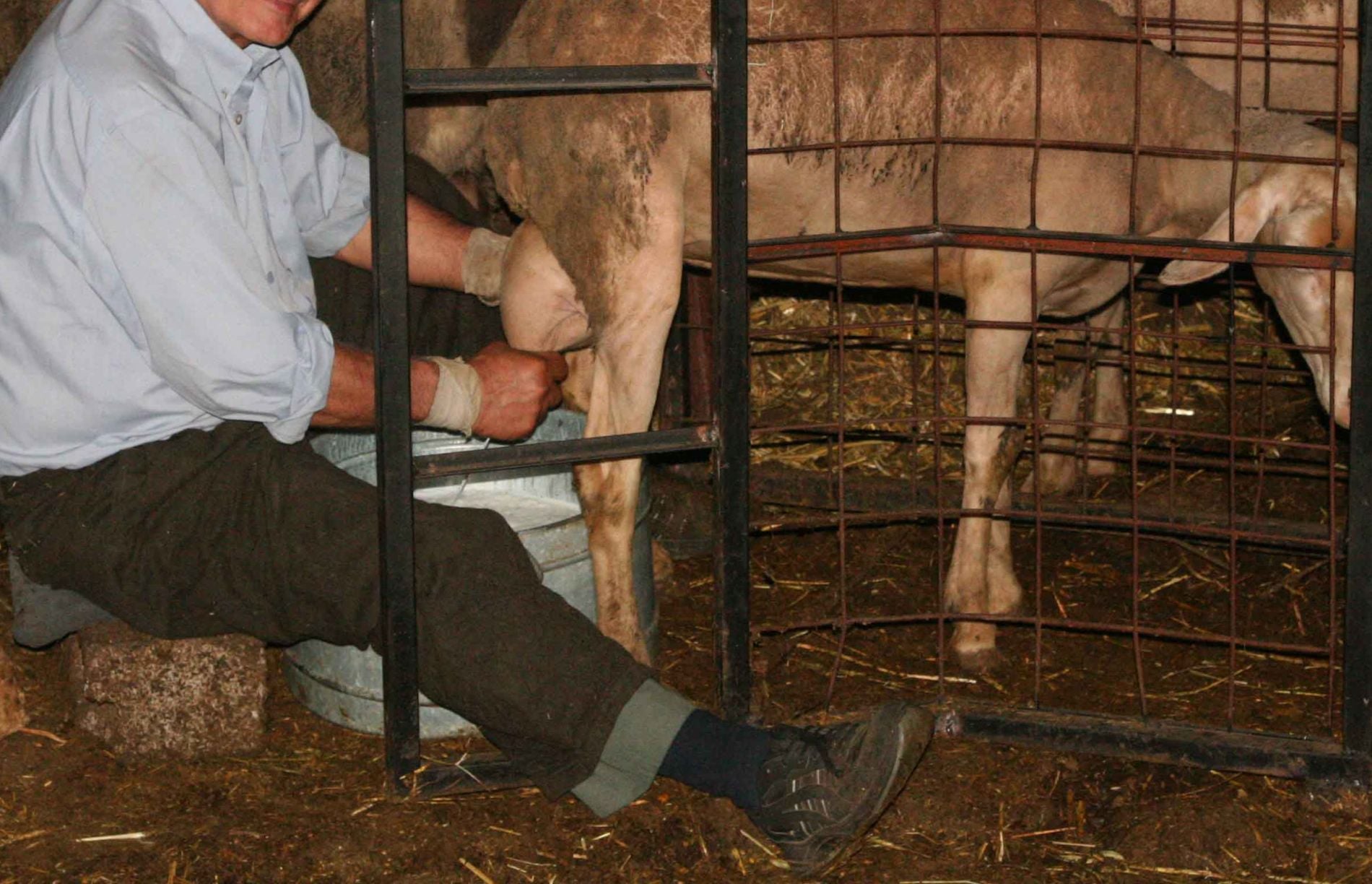 Έ&tau;&sigma;&iota; &laquo;ά&rho;&mu;&epsilon;&xi;&epsilon;&raquo; &pi;ά&nu;&omega; &alpha;&pi;ό έ&nu;&alpha; &epsilon;&kappa;&alpha;&tau;&omicron;&mu;&mu;ύ&rho;&iota;&omicron; &epsilon;&upsilon;&rho;ώ &alpha;&pi;ό &tau;&omicron;&nu; &Omicron;&Pi;&Epsilon;&Kappa;&Epsilon;&Pi;&Epsilon; &mu;έ&sigma;&alpha; &sigma;&epsilon; &delta;ύ&omicron; &chi;&rho;ό&nu;&iota;&alpha;