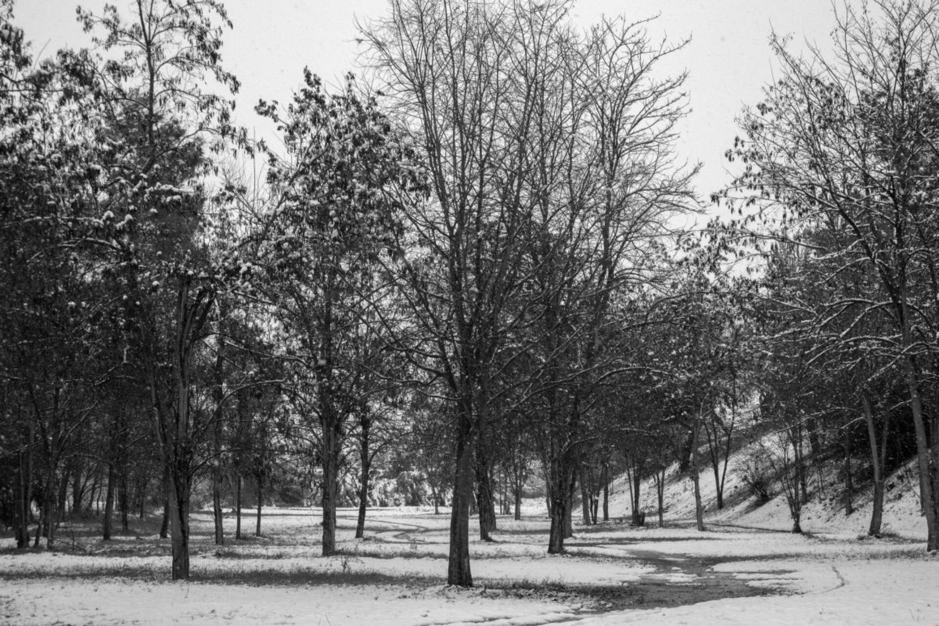 Καιρός: Πιθανή η αλλαγή χρόνου με χιόνια στην Αττική – Ποιες περιοχές θα επηρεαστούν
