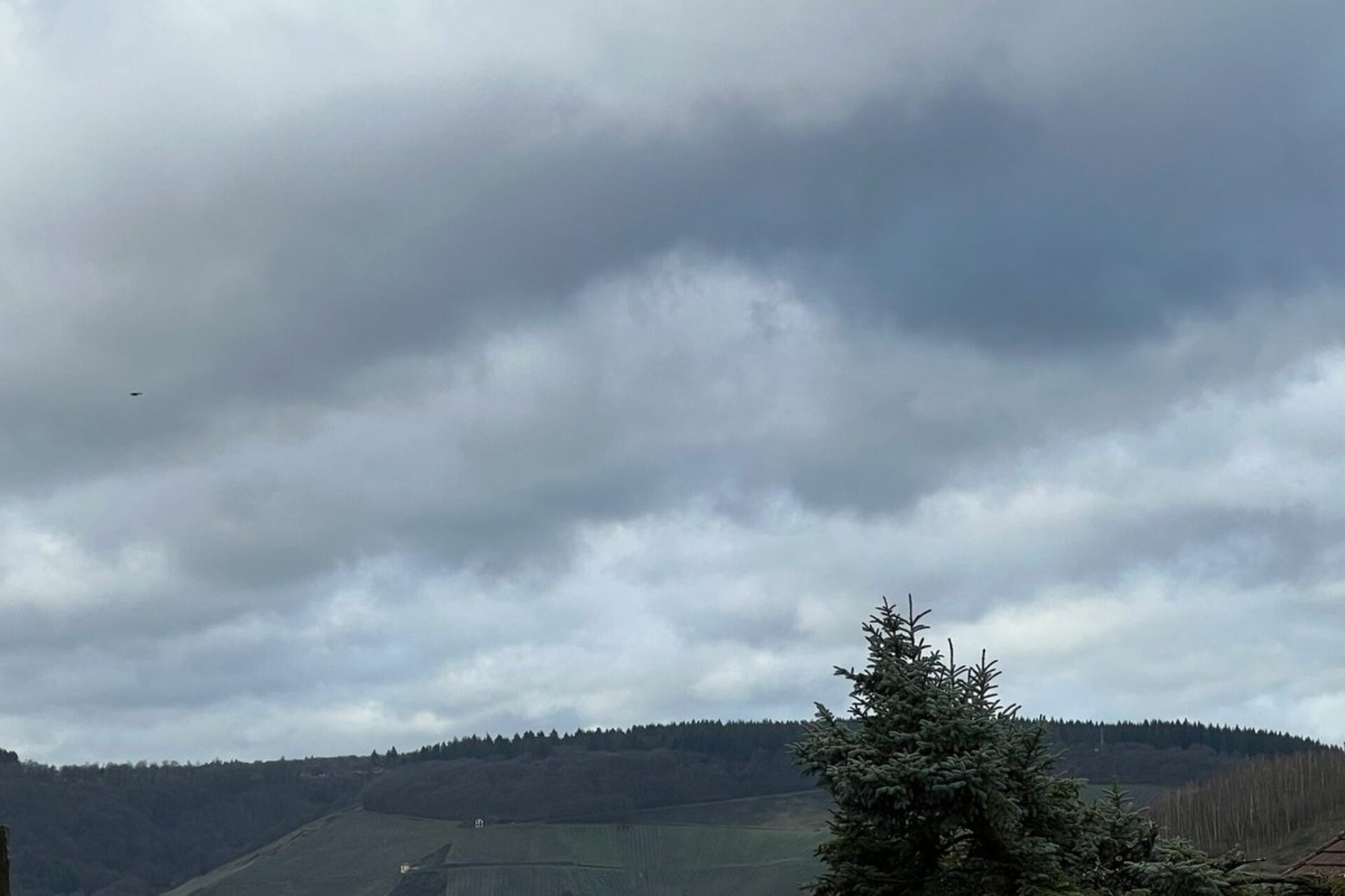 «Κλείδωσε» ο καιρός για την Πρωτοχρονιά – Παγετός από την παραμονή