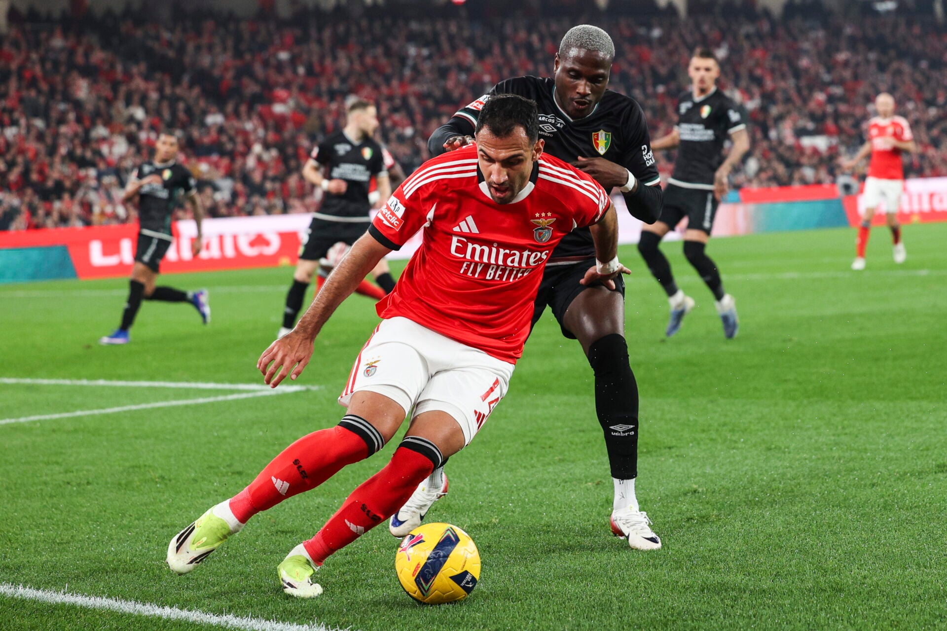 &Tau;&alpha; &delta;ύ&omicron; &gamma;&kappa;&omicron;&lambda; &tau;&omicron;&upsilon; &Beta;&alpha;&gamma;&gamma;έ&lambda;&eta; &Pi;&alpha;&upsilon;&lambda;ί&delta;&eta; &mu;&epsilon; &tau;&eta;&nu; &Mu;&pi;&epsilon;&nu;&phi;ί&kappa;&alpha; έ&phi;&epsilon;&rho;&alpha;&nu; &tau;&eta;&nu; &epsilon;&iota;&rho;ή&nu;&eta; &mu;&epsilon; &tau;&omicron;&upsilon;&sigmaf; &omicron;&pi;&alpha;&delta;&omicron;ύ&sigmaf;