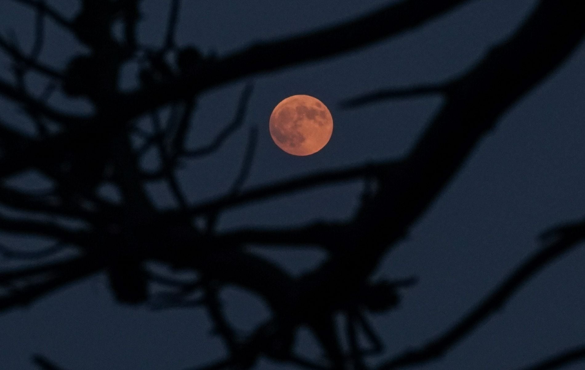 &Sigma;&epsilon;&lambda;ή&nu;&eta; &laquo;&kappa;&epsilon;&nu;ή &pi;&omicron;&rho;&epsilon;ί&alpha;&sigmaf;&raquo; 2026: &Tau;&iota; &epsilon;ί&nu;&alpha;&iota; &kappa;&alpha;&iota; &pi;ώ&sigmaf; &epsilon;&pi;&eta;&rho;&epsilon;ά&zeta;&epsilon;&iota; &tau;&eta;&nu; &kappa;&alpha;&theta;&eta;&mu;&epsilon;&rho;&iota;&nu;ό&tau;&eta;&tau;&alpha;