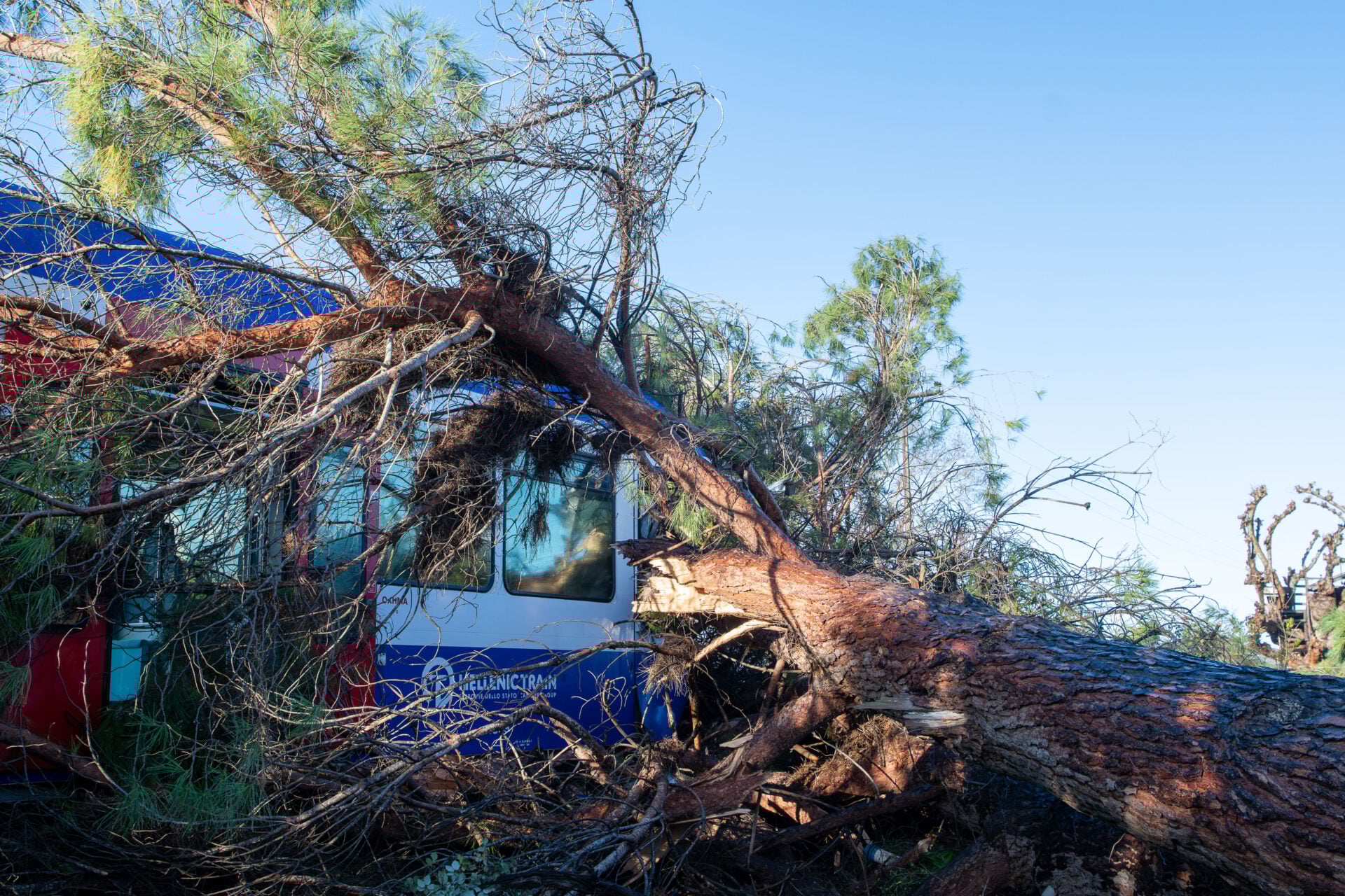 Πύργος: Δέντρο έπεσε σε τρένο – Τραυματίας ο μηχανοδηγός